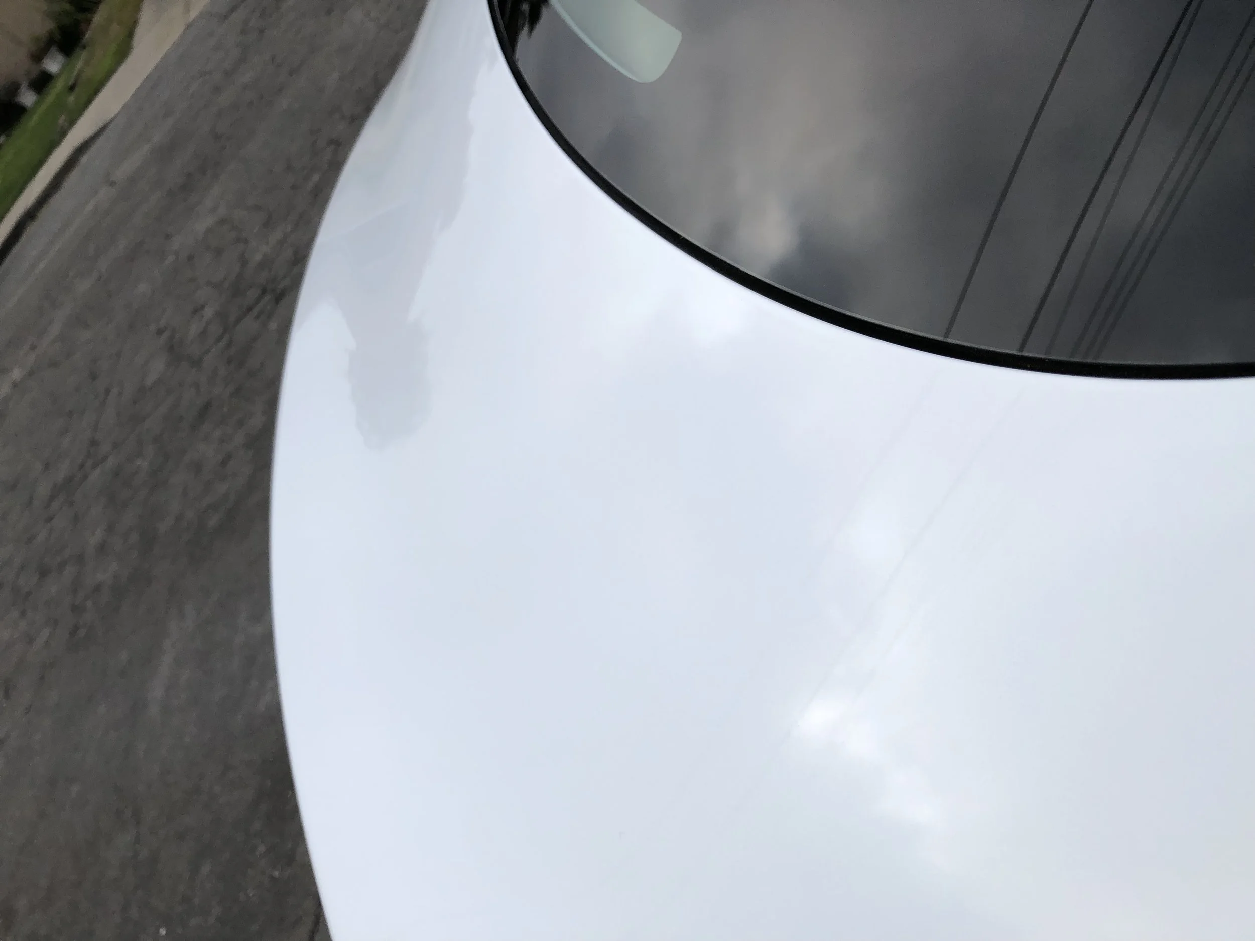 2018-09-01 08.33.09.jpg