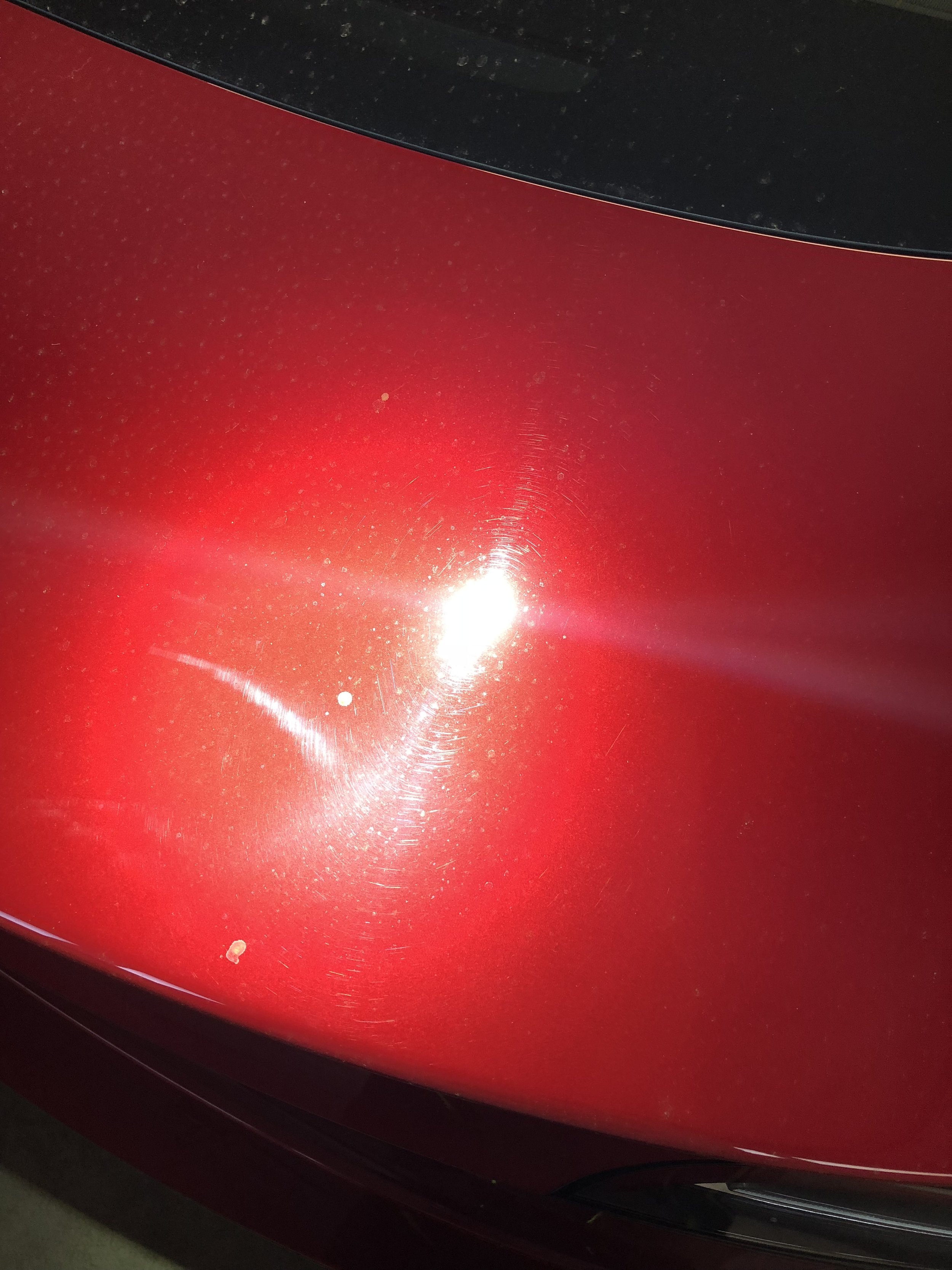 2018-10-03 18.01.14.jpg