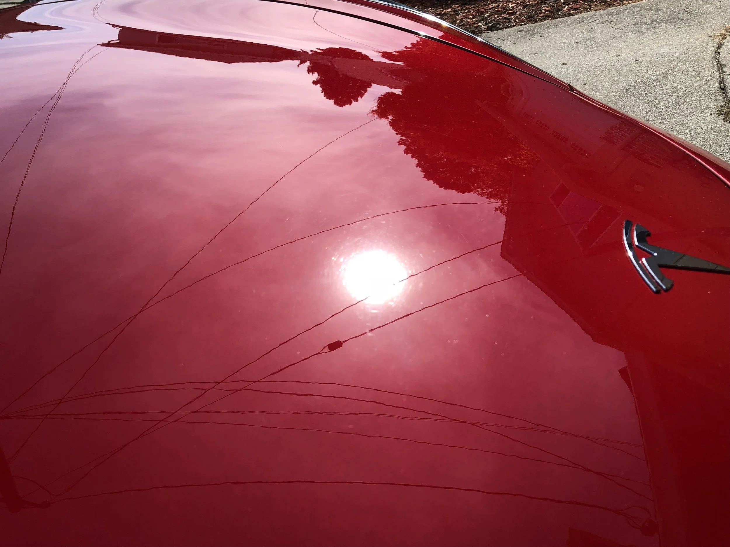 2018-10-26 12.18.32.jpg