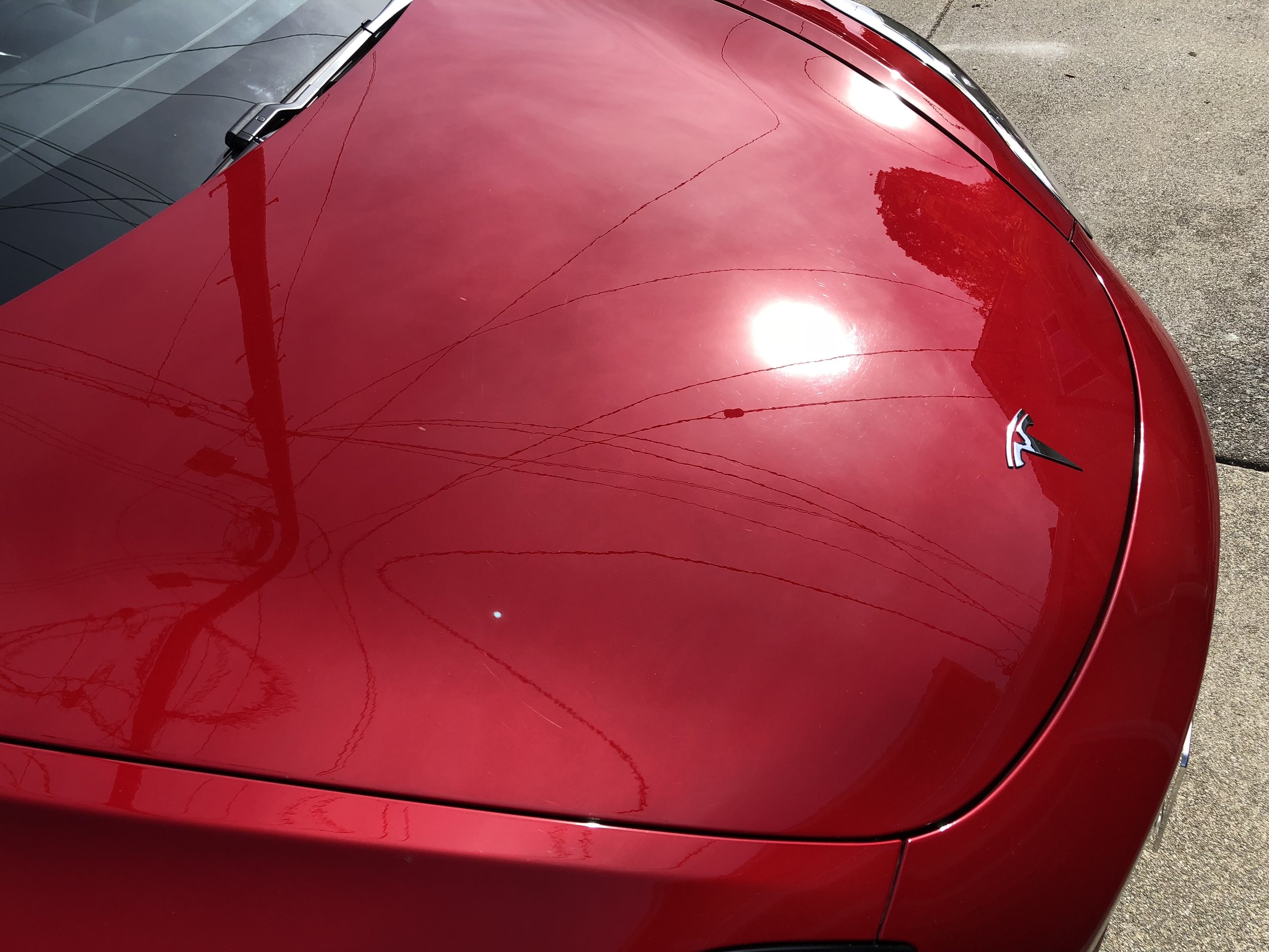 2018-10-26 12.18.28.jpg