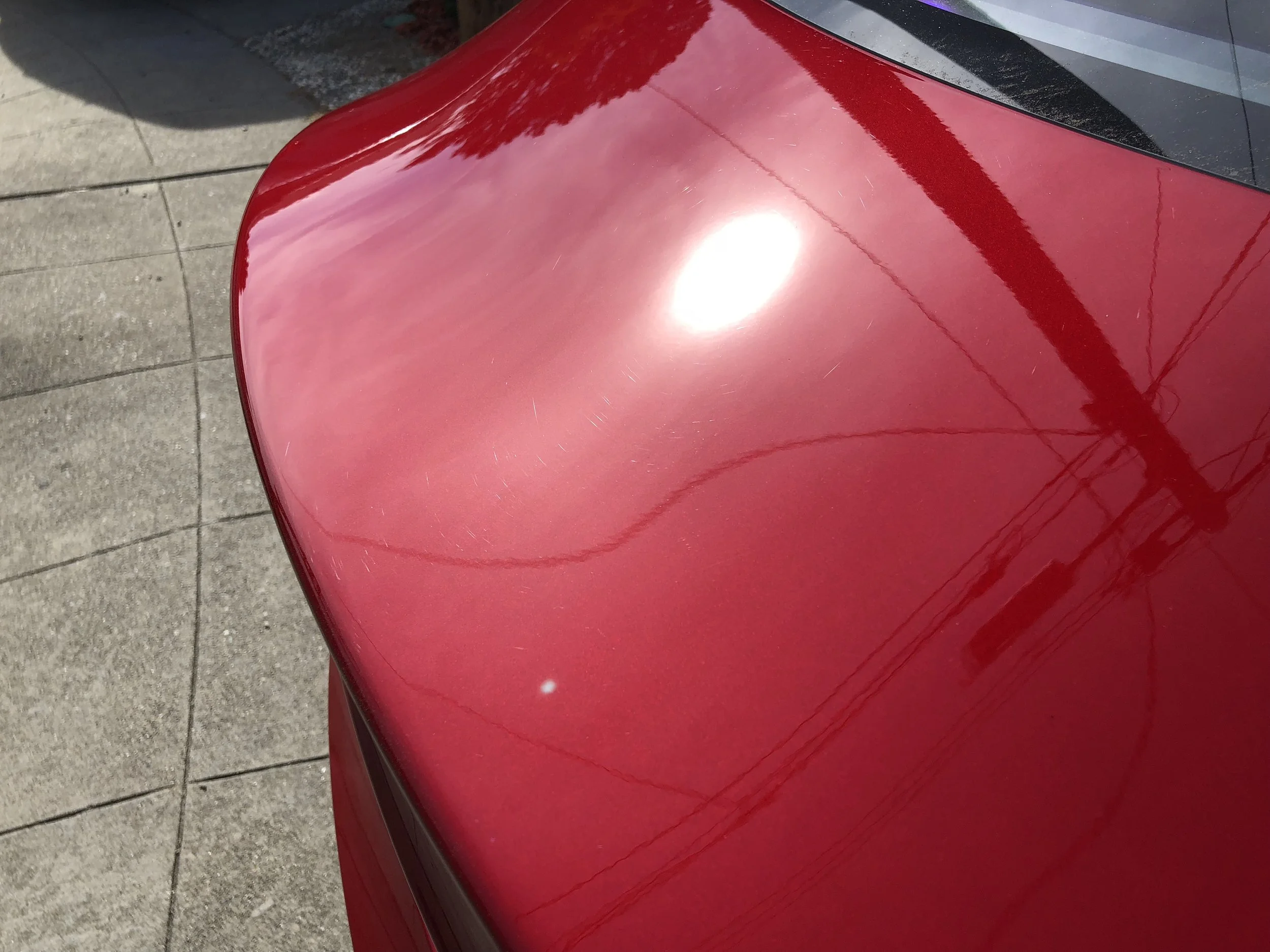 2018-10-26 12.18.51.jpg