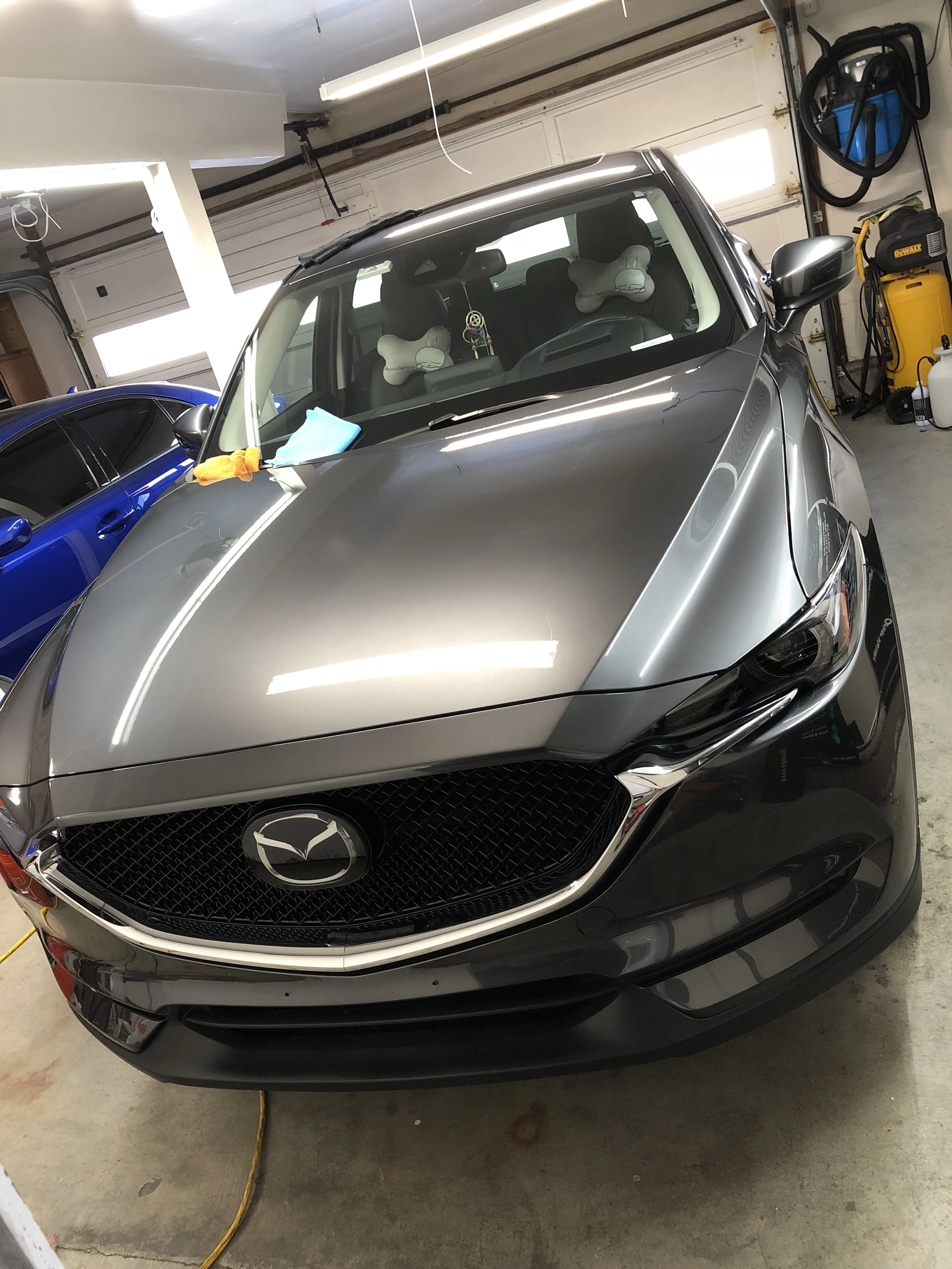 2018-11-11 15.05.02.jpg