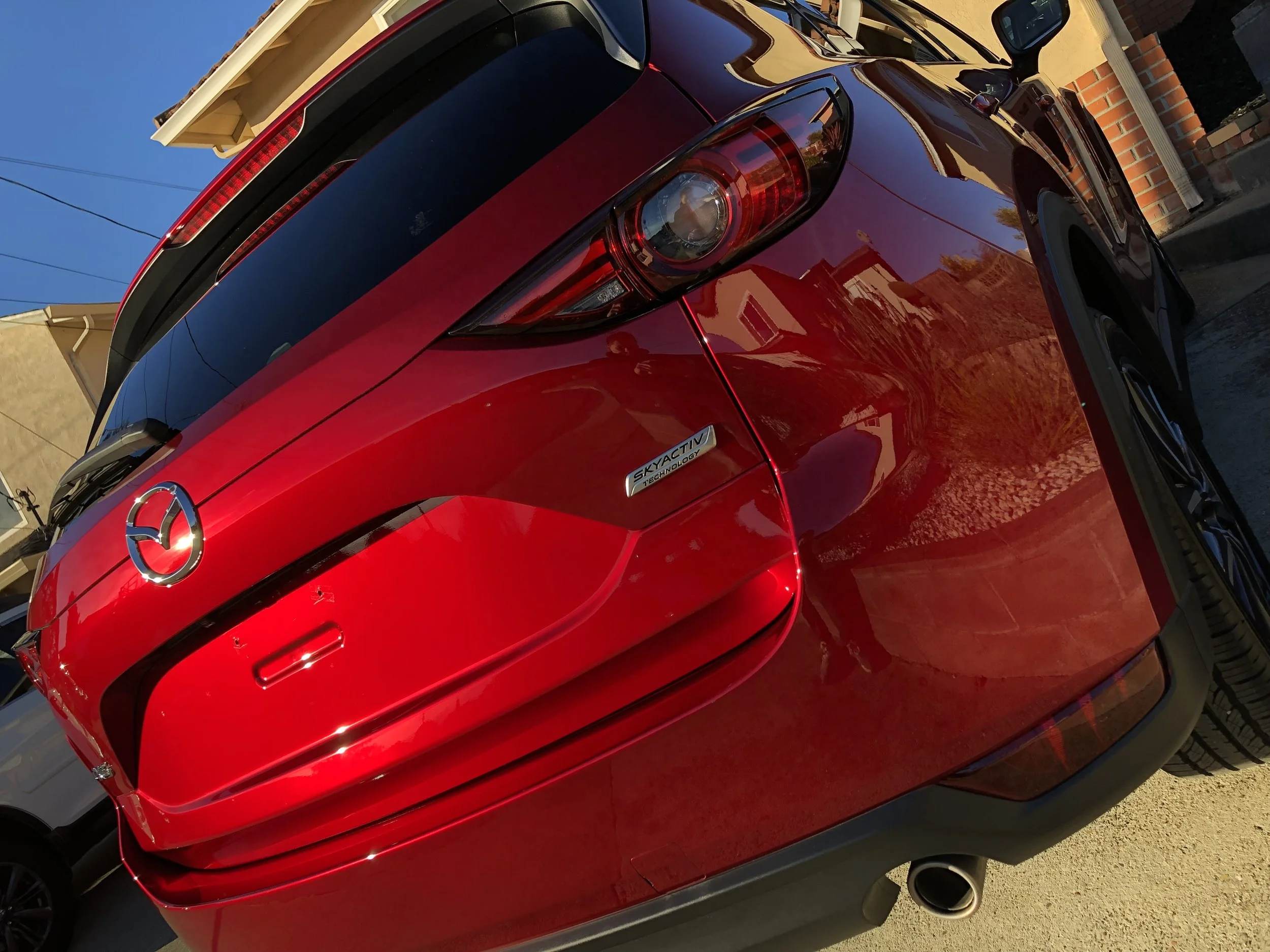 2018-12-29 08.29.14.jpg