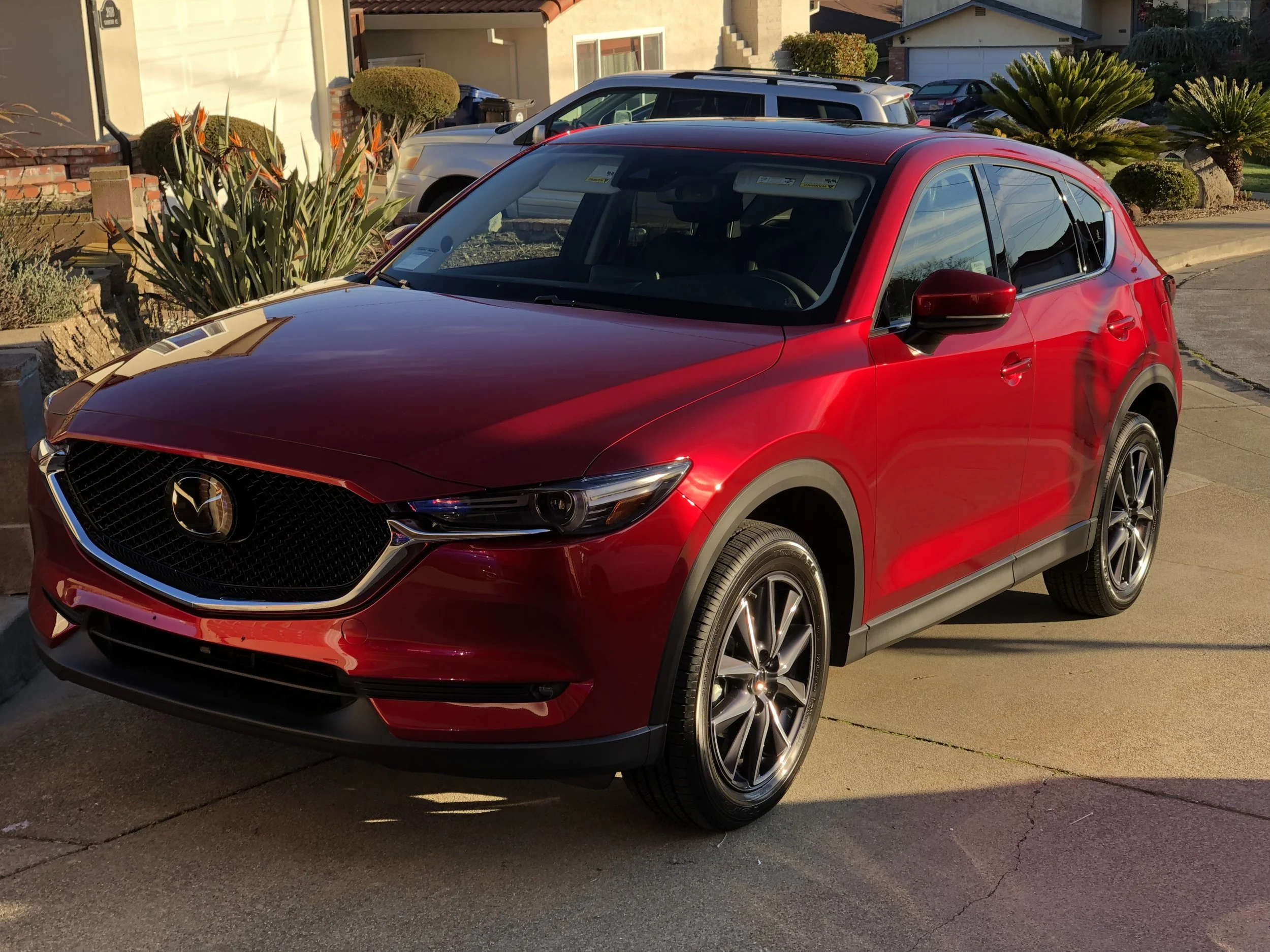 2018-12-29 08.35.24.jpg