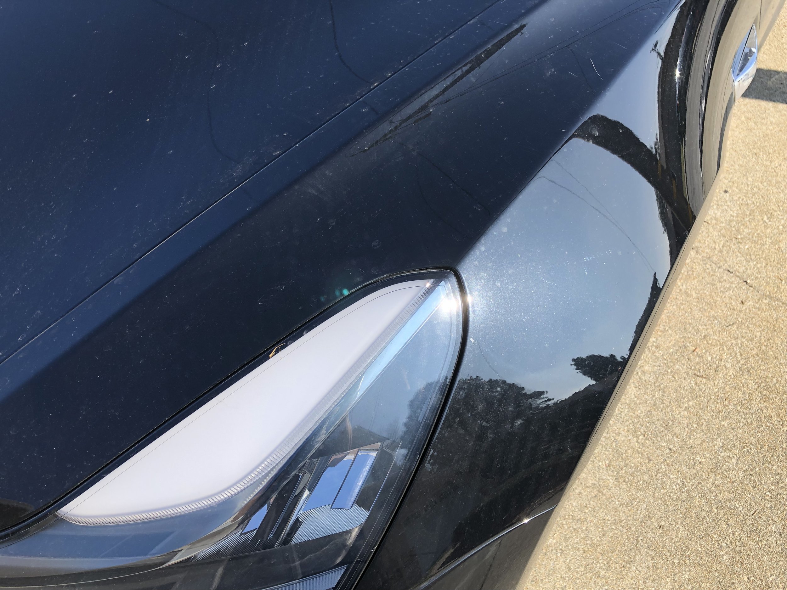 2019-01-30 10.56.52.jpg