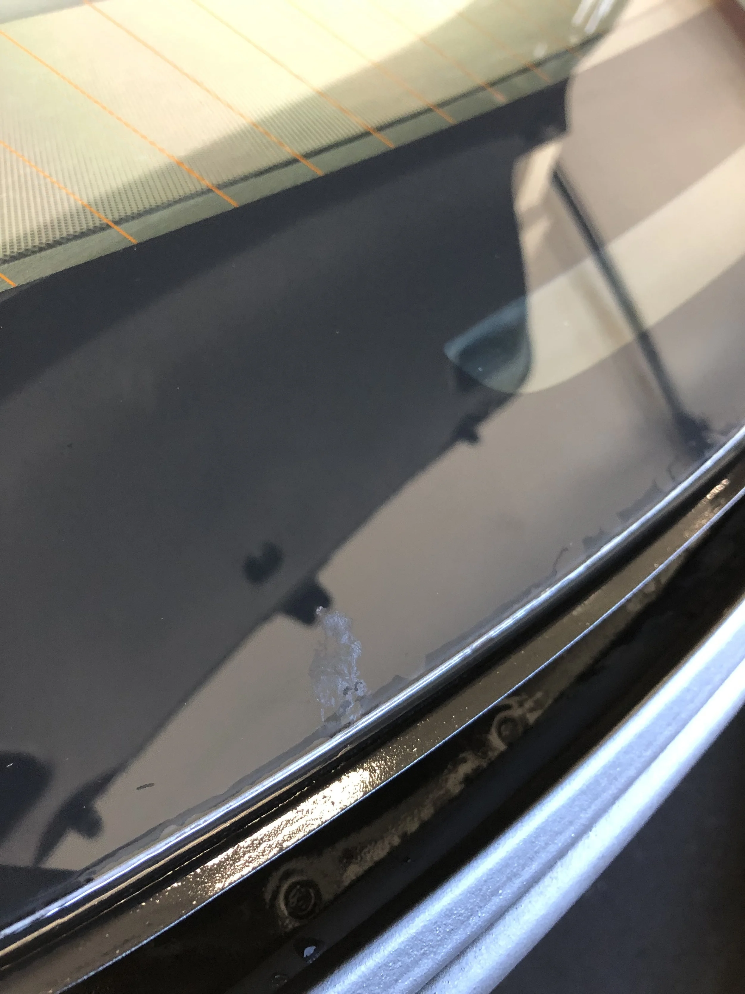 2019-01-30 11.42.04.jpg