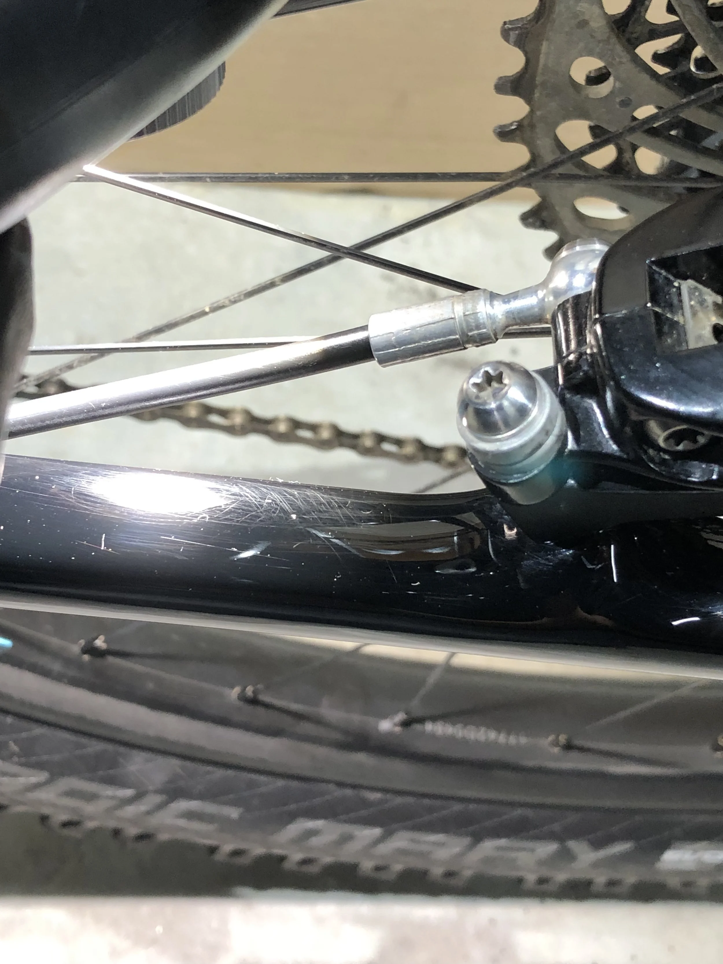 2019-03-02 11.31.03.jpg