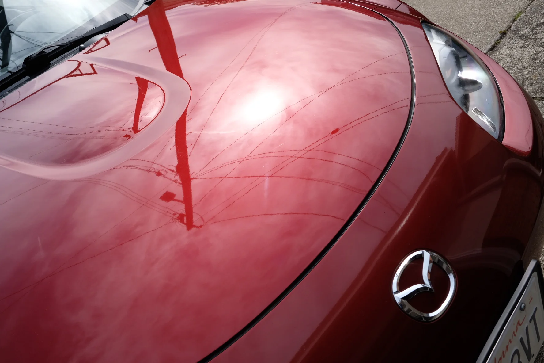 2019-03-19 10.56.26.jpg