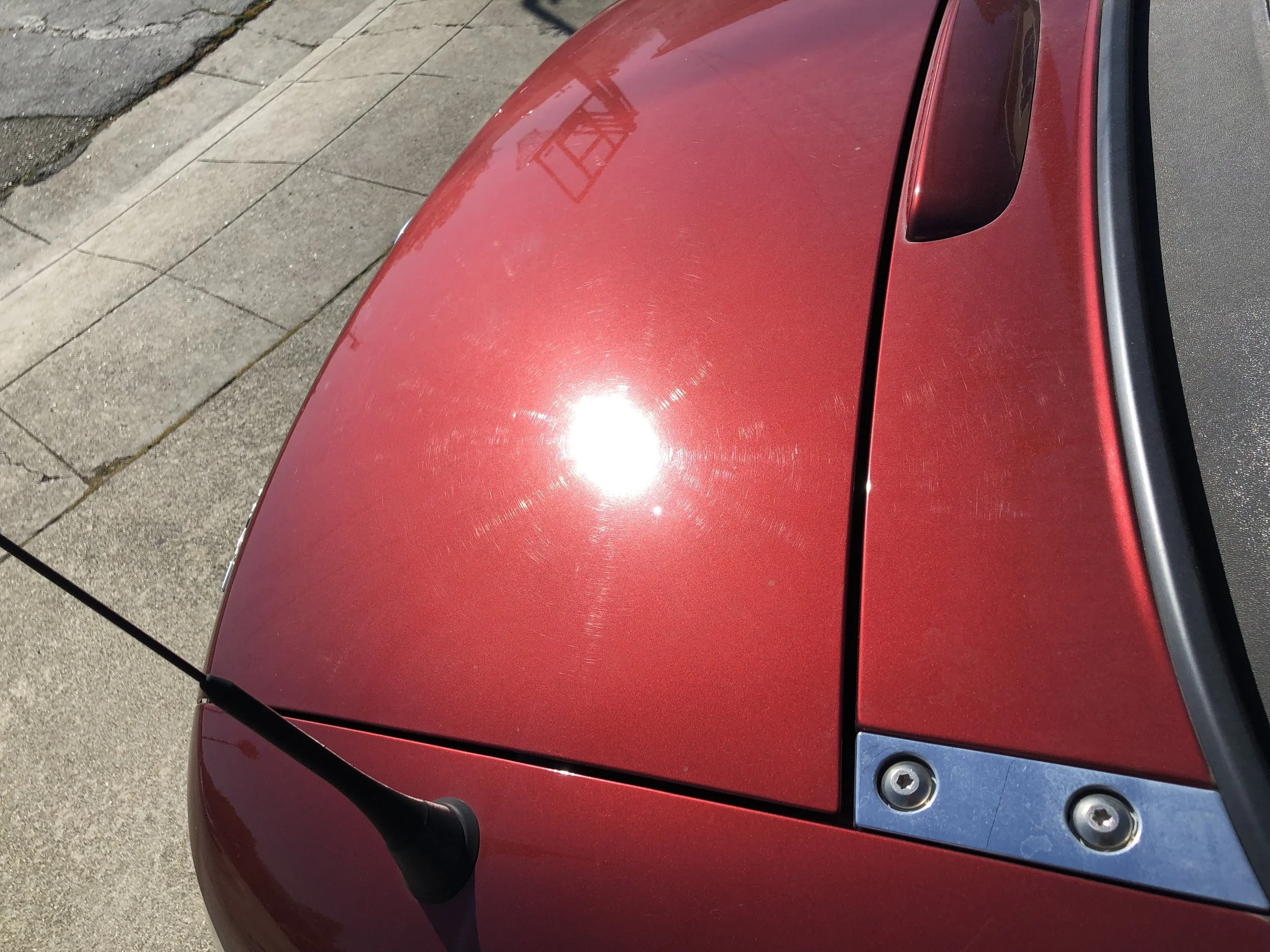 2019-03-18 10.18.46.jpg