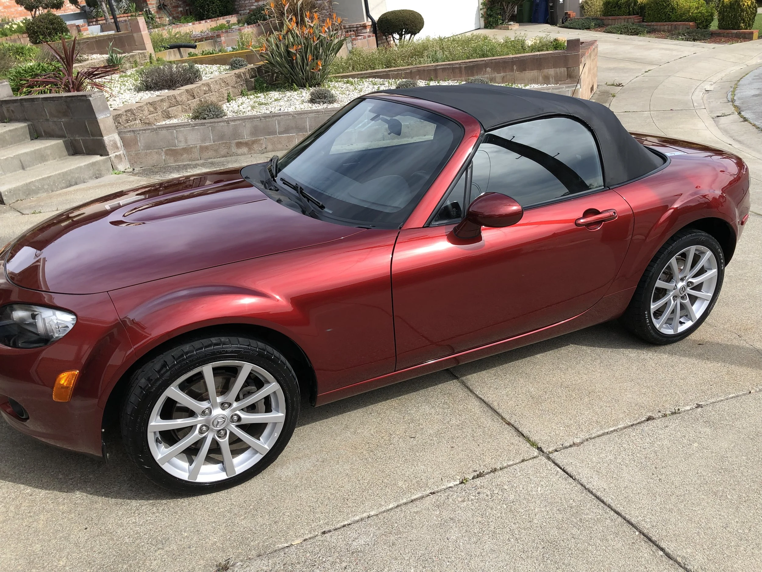 2019-03-19 10.36.10.jpg