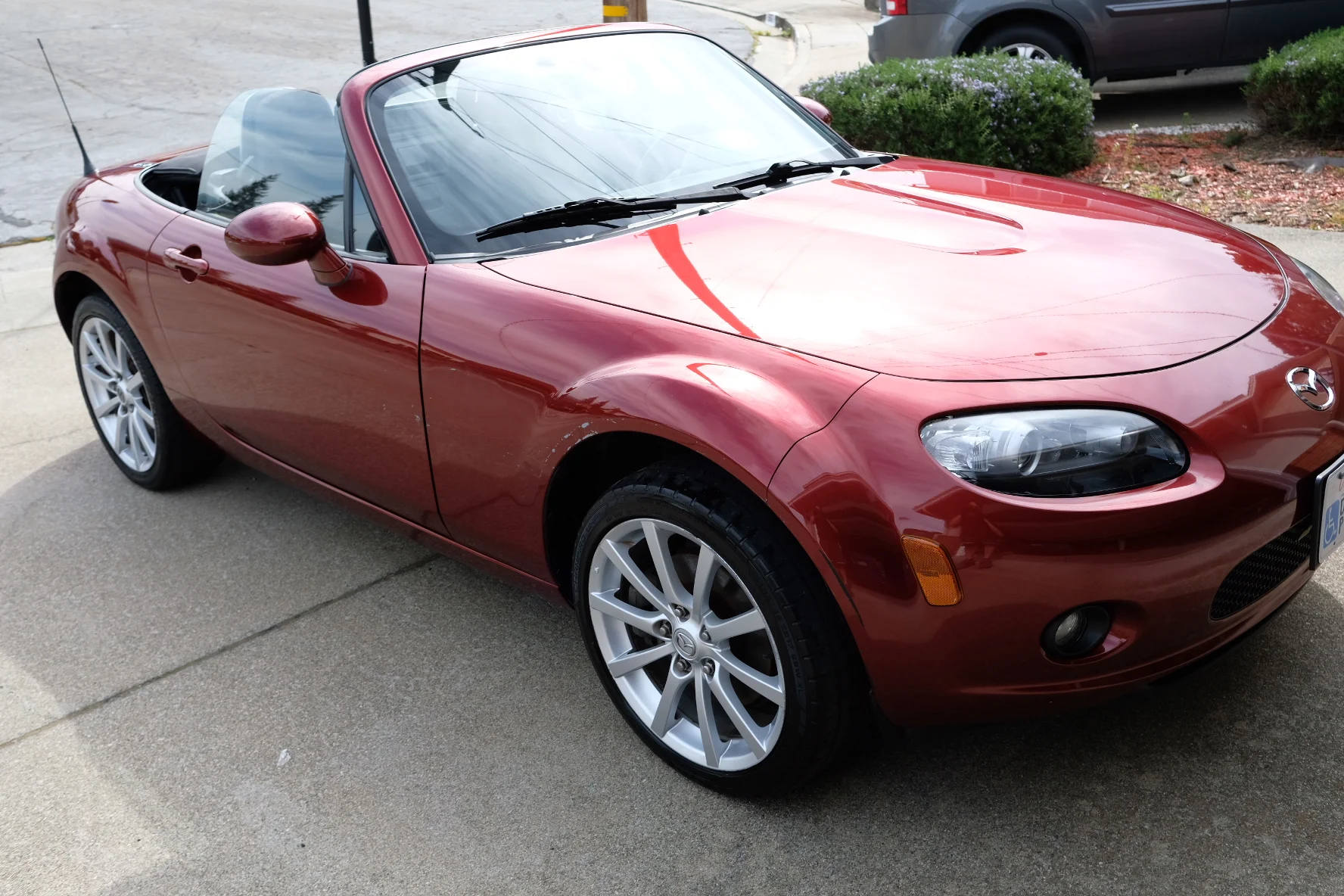 2019-03-19 10.56.21.jpg