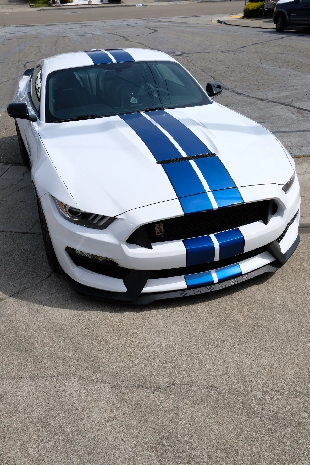 2019-03-24 13.39.44.jpg