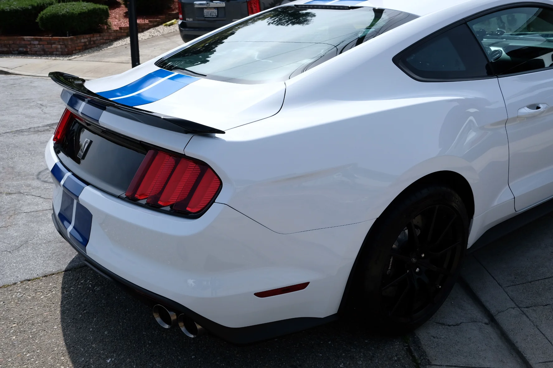 2019-03-24 13.36.02.jpg