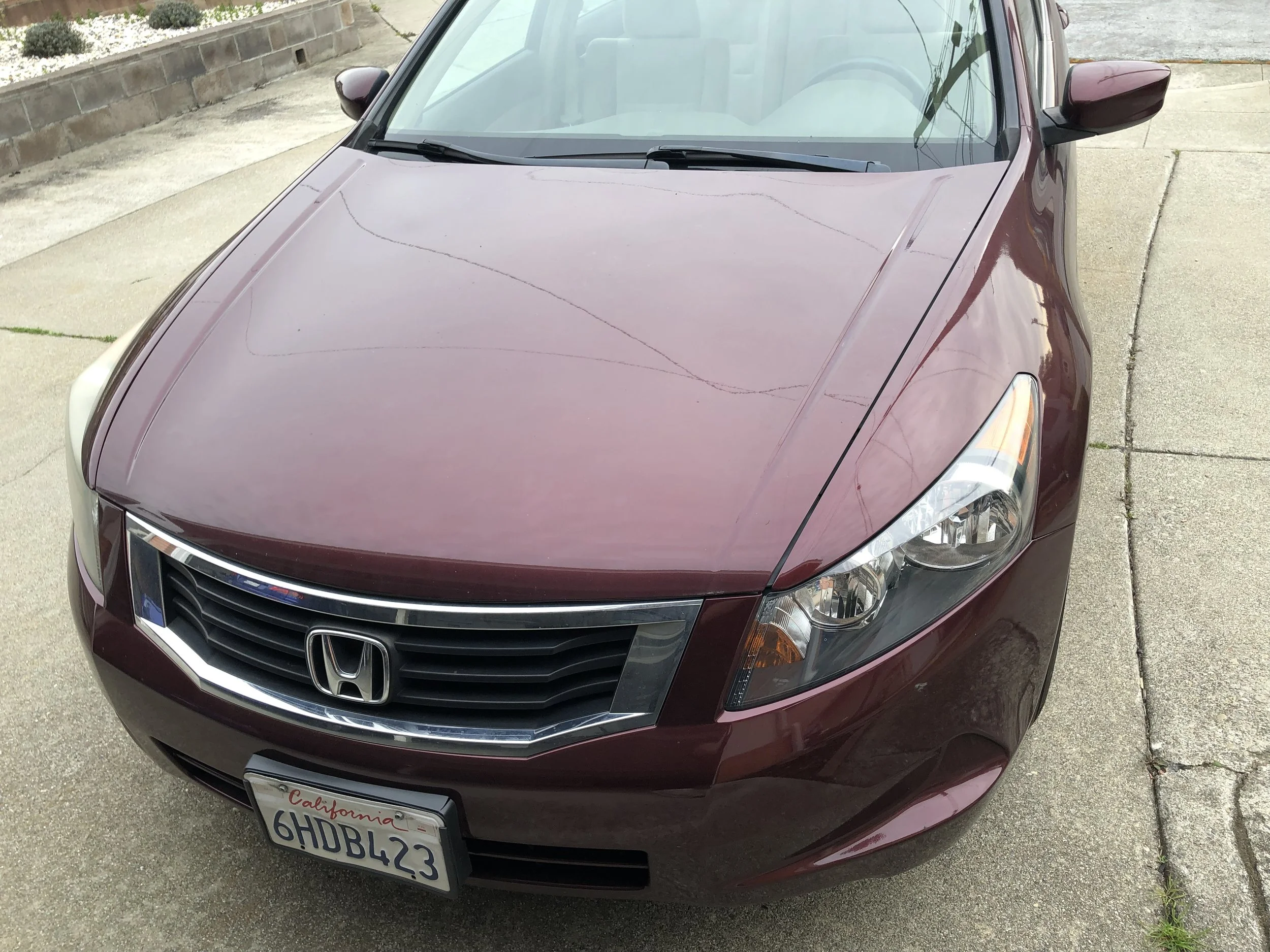 2019-03-25 08.55.29.jpg