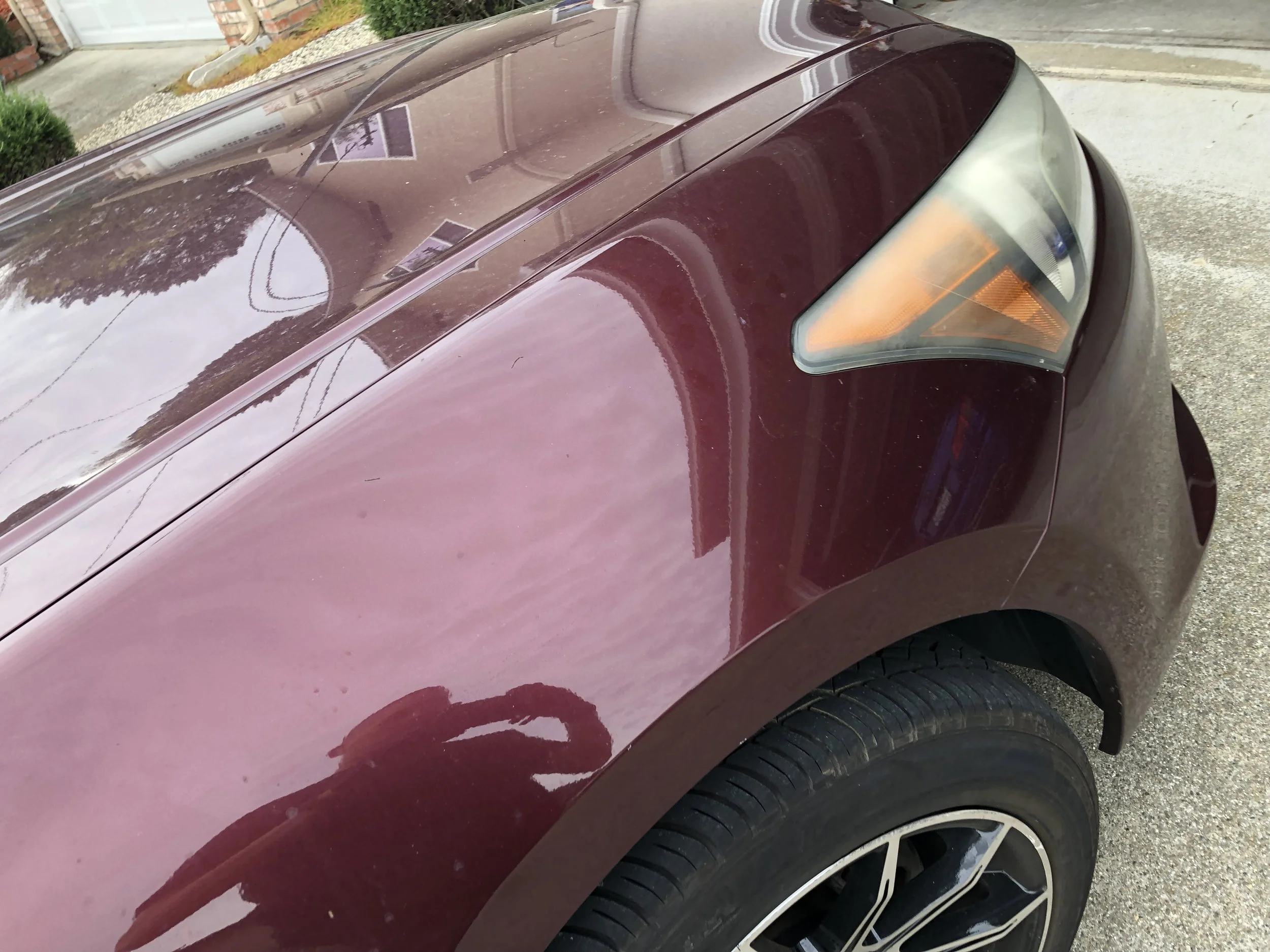 2019-03-25 08.55.48.jpg