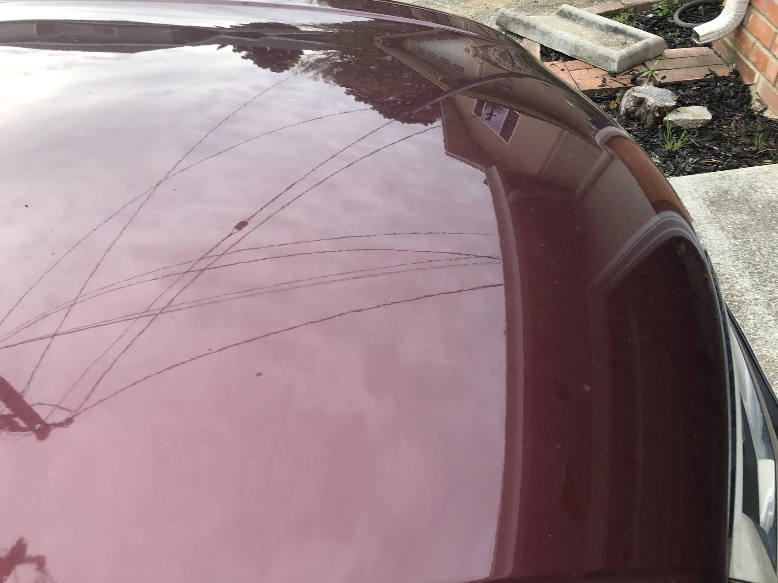 2019-03-25 08.55.50.jpg