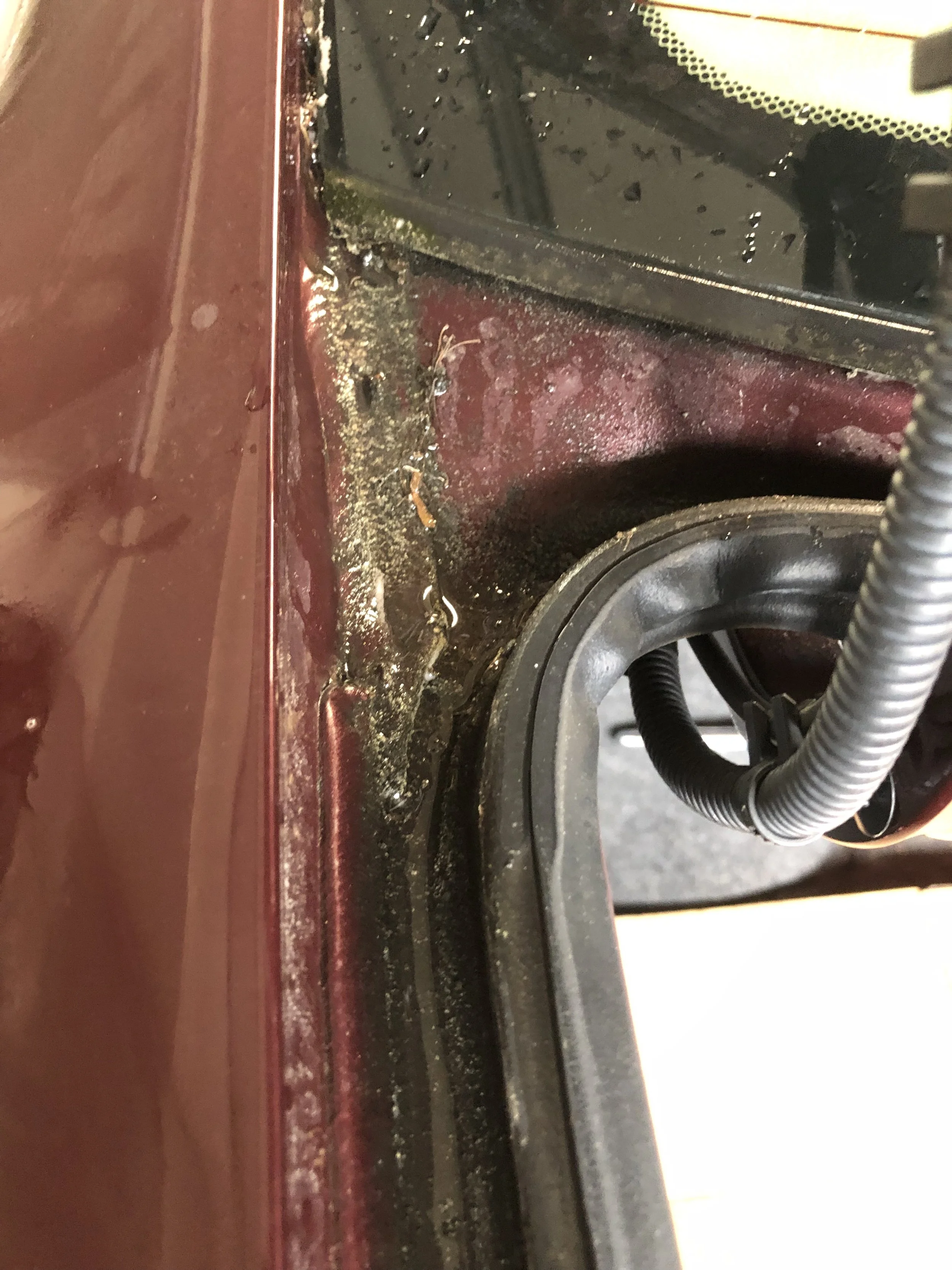 2019-03-25 09.32.52.jpg