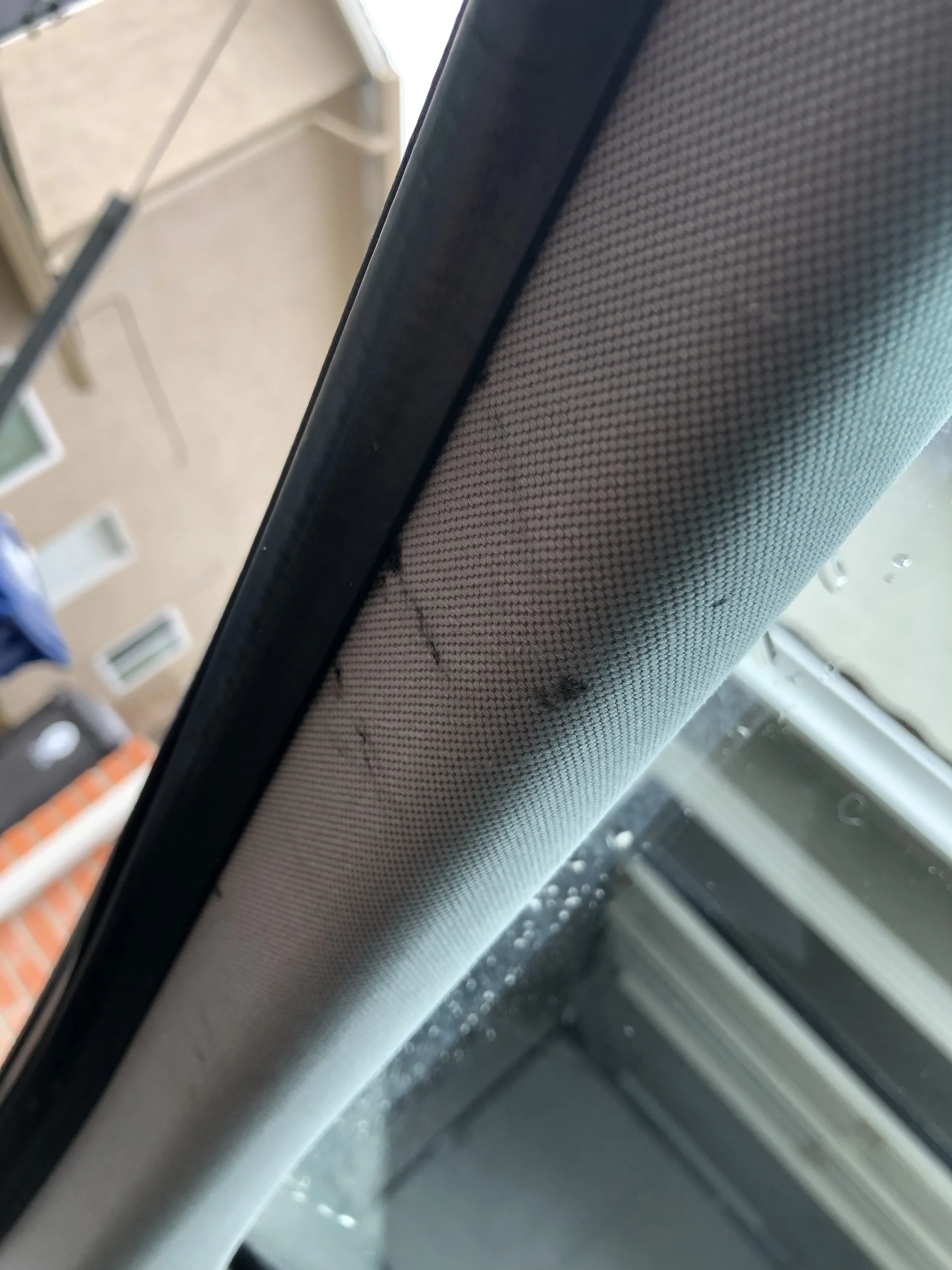 2019-04-02 09.14.11.jpg