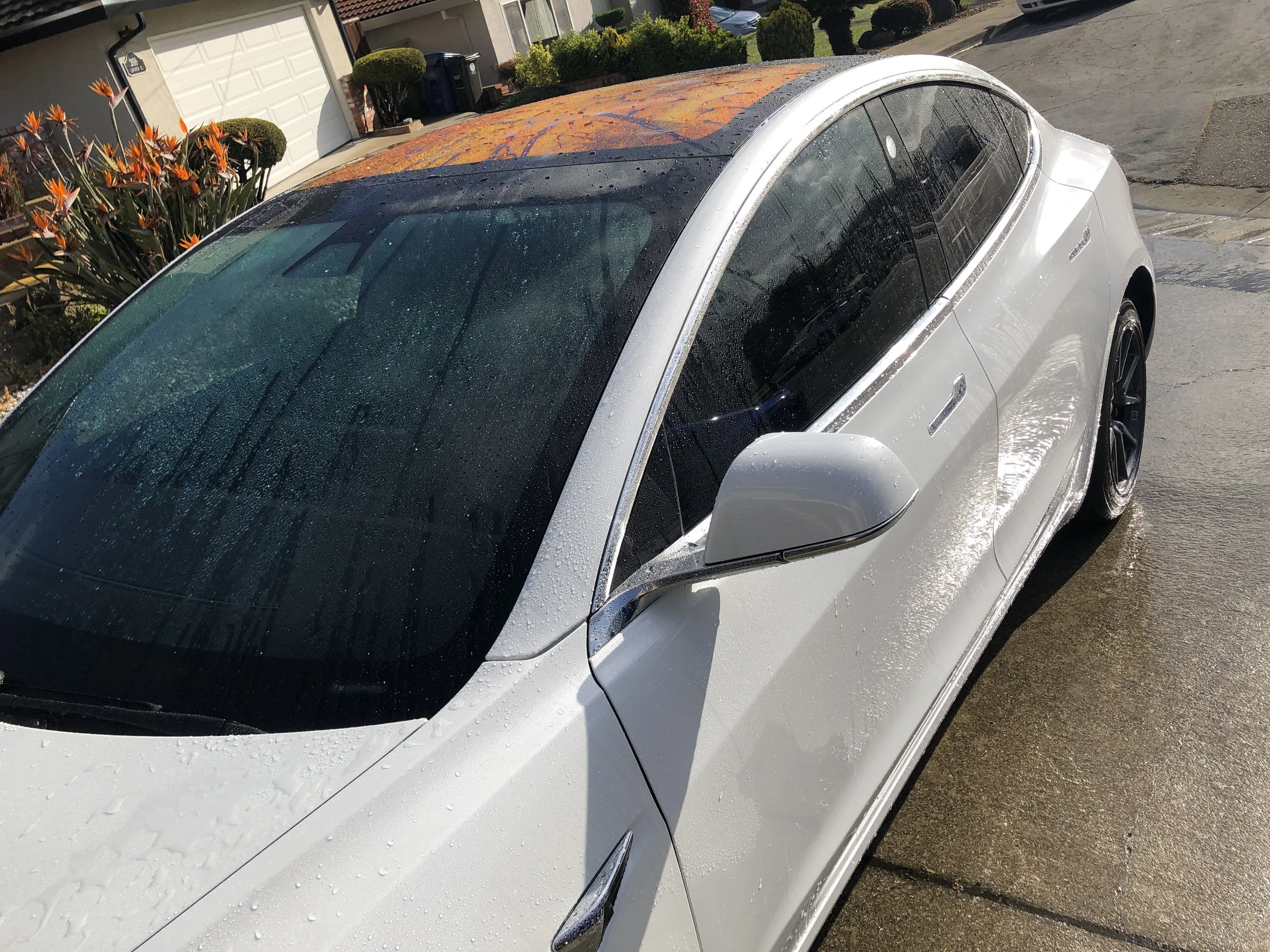 2019-04-16 08.29.35.jpg