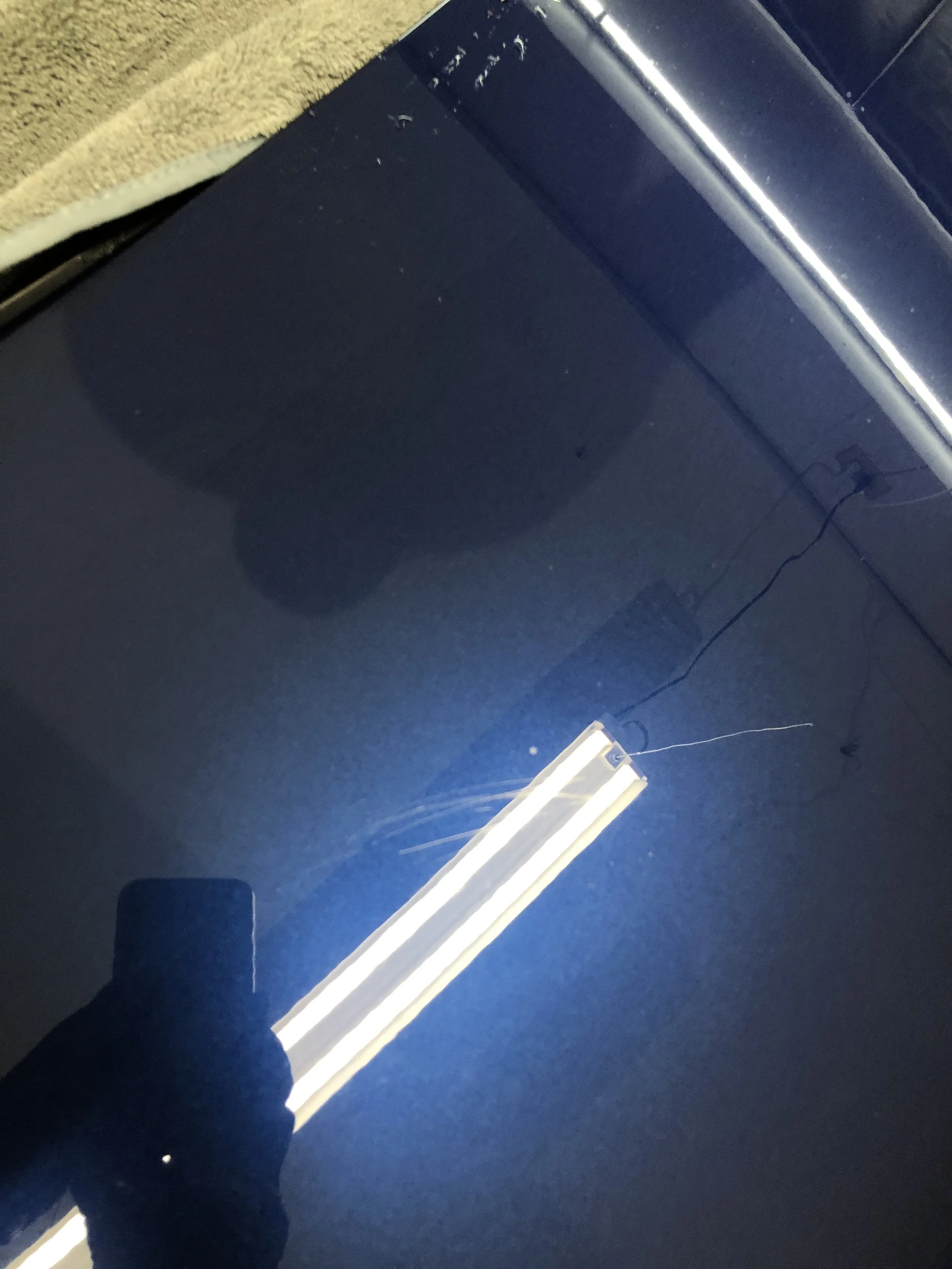 2019-05-06 09.33.33.jpg