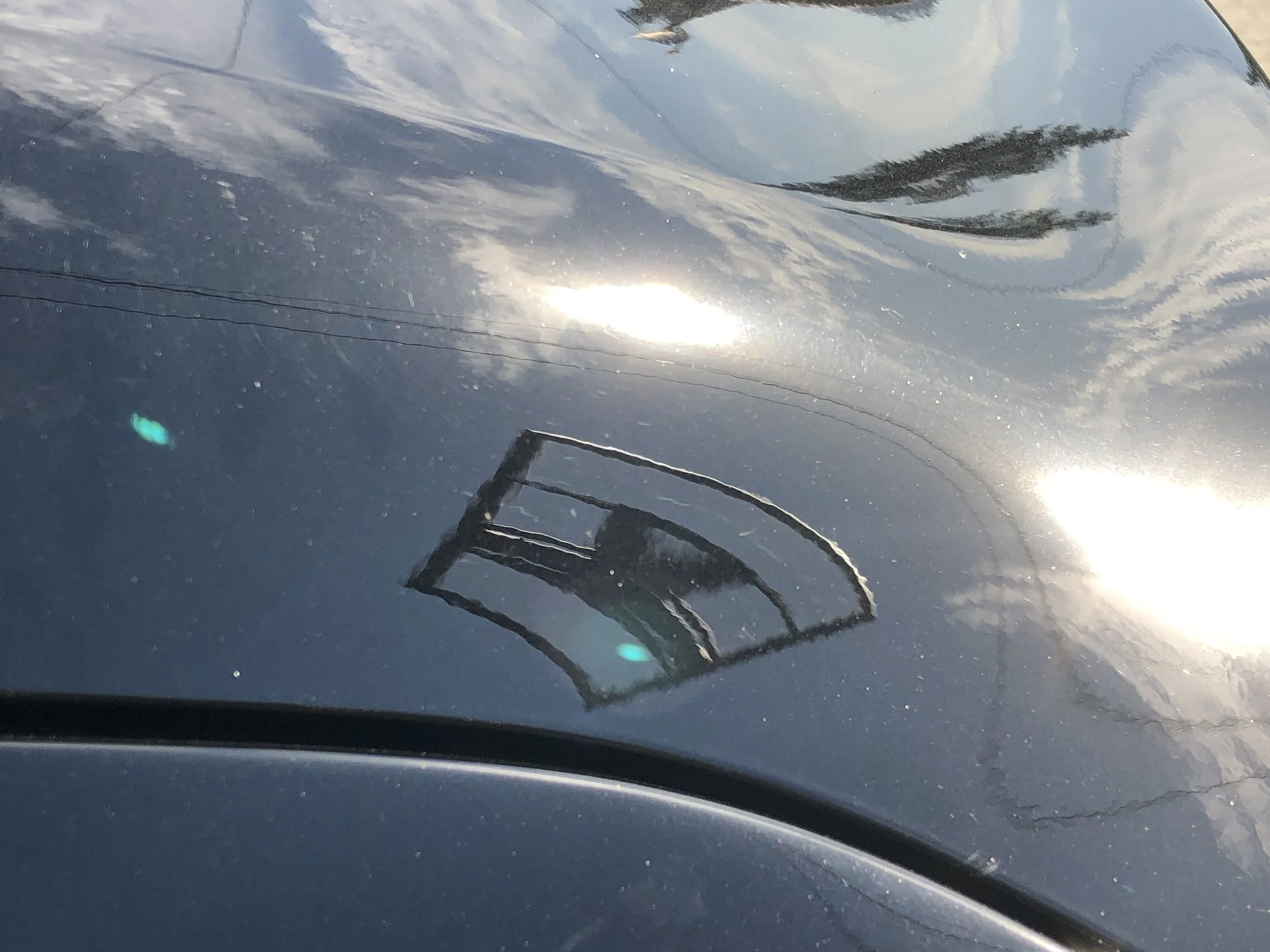 2019-06-12 07.42.03.jpg