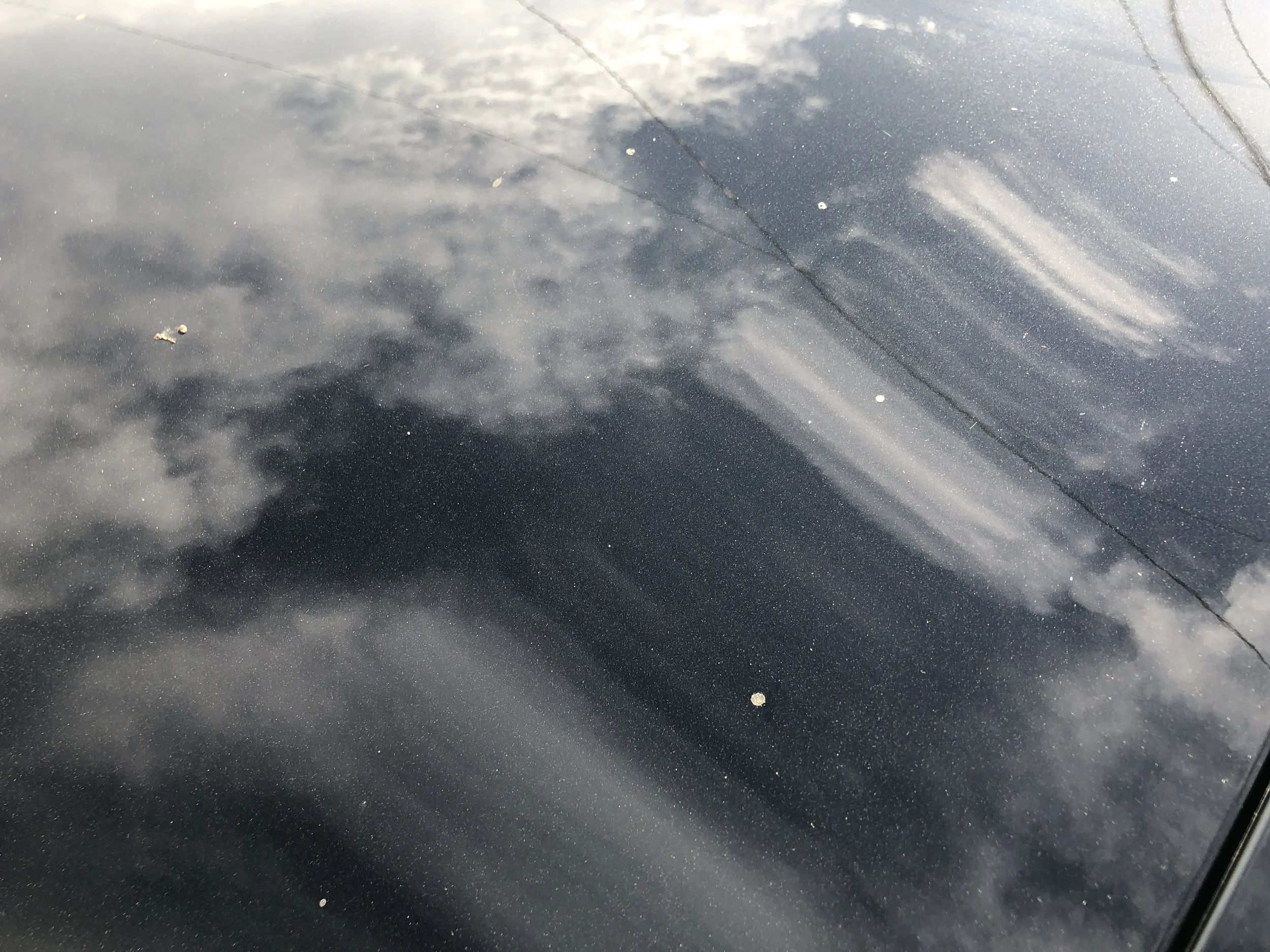 2019-06-12 07.42.30.jpg