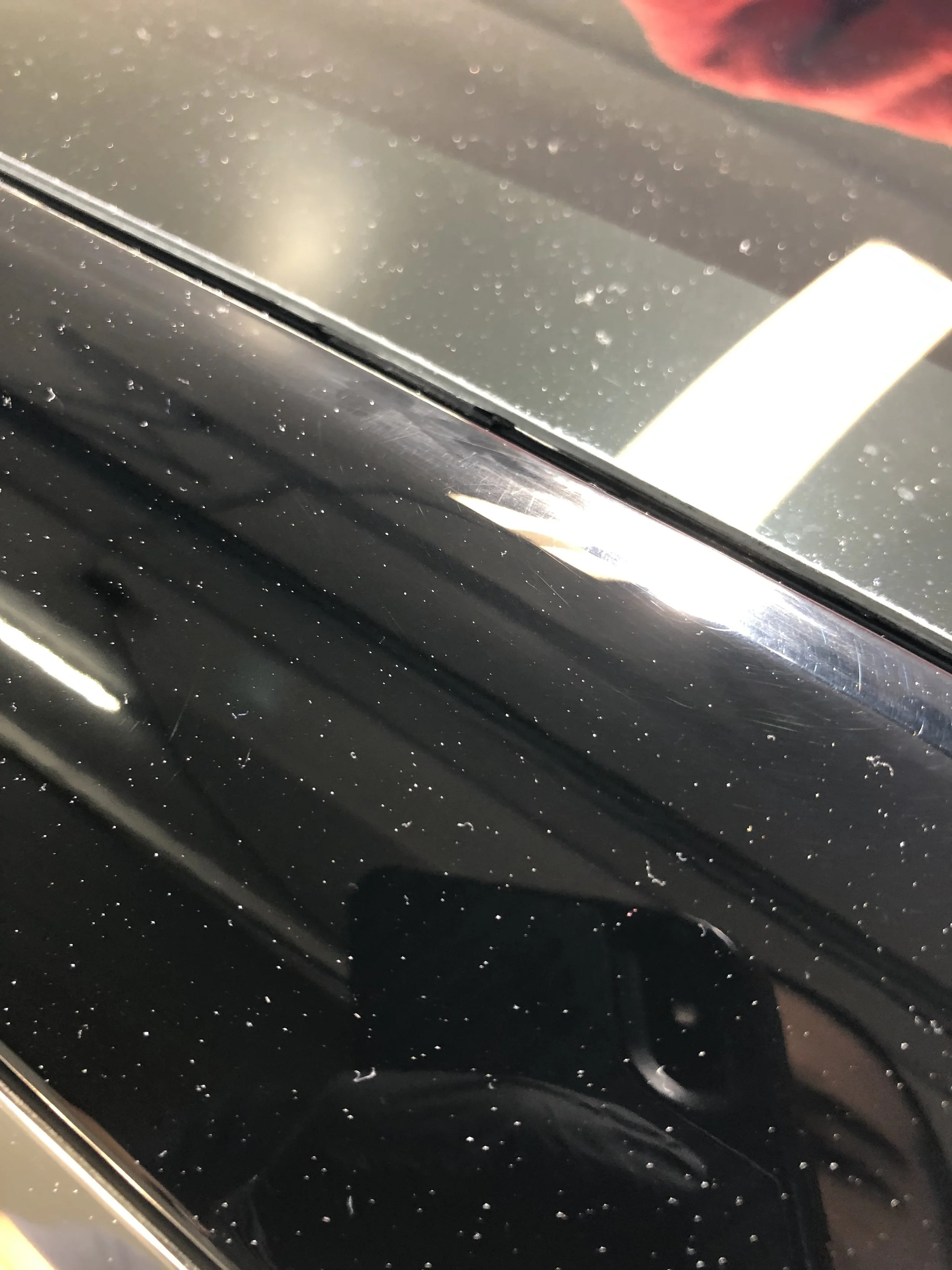 2019-06-12 11.56.35.jpg