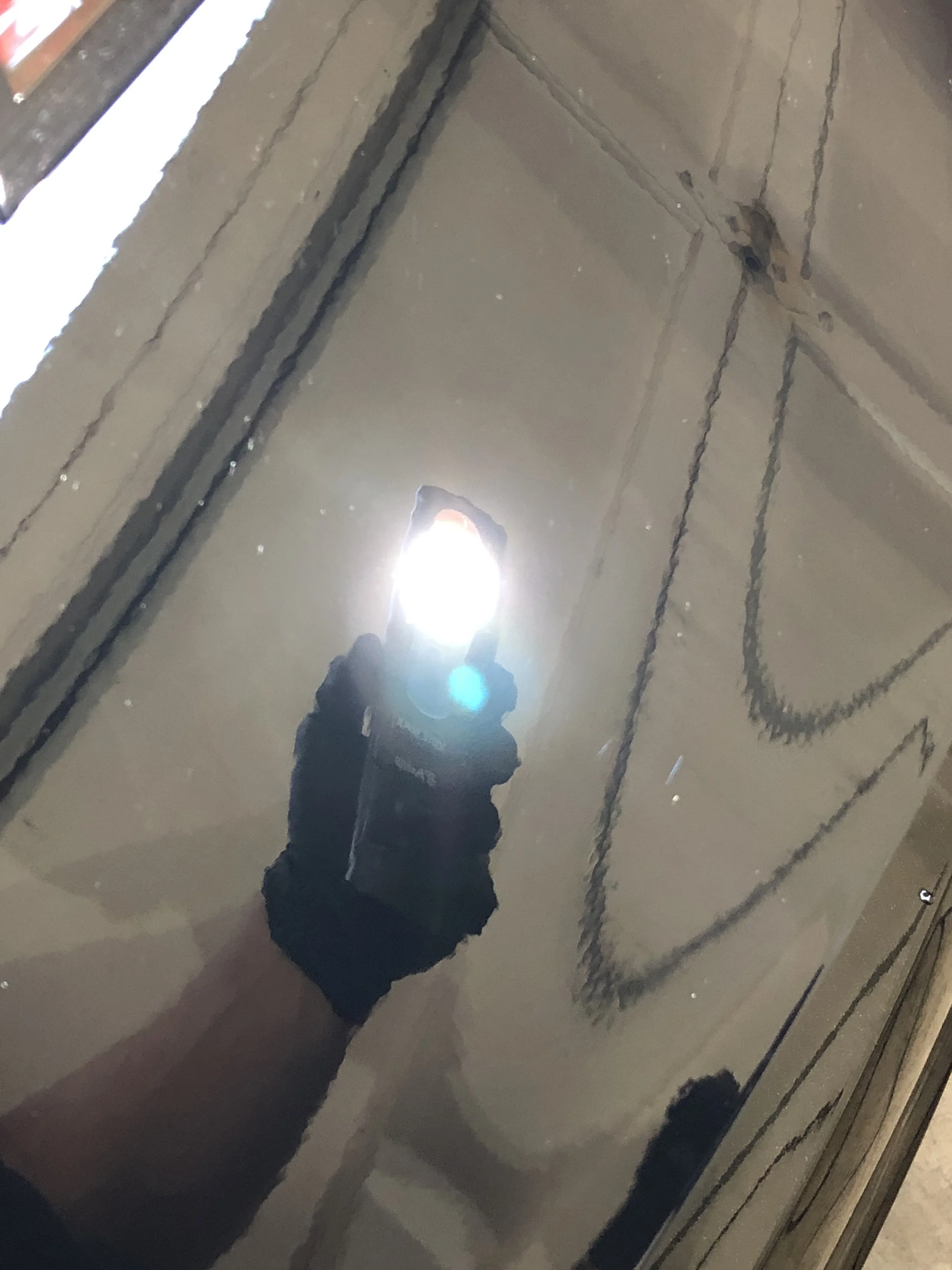 2019-06-19 14.15.11.jpg