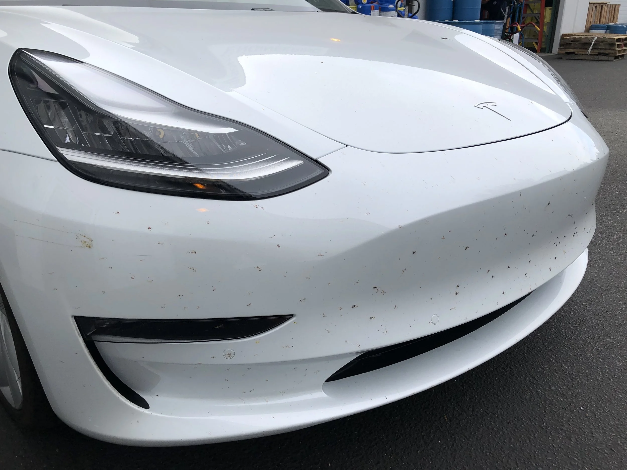 2019-08-20 08.52.35.jpg