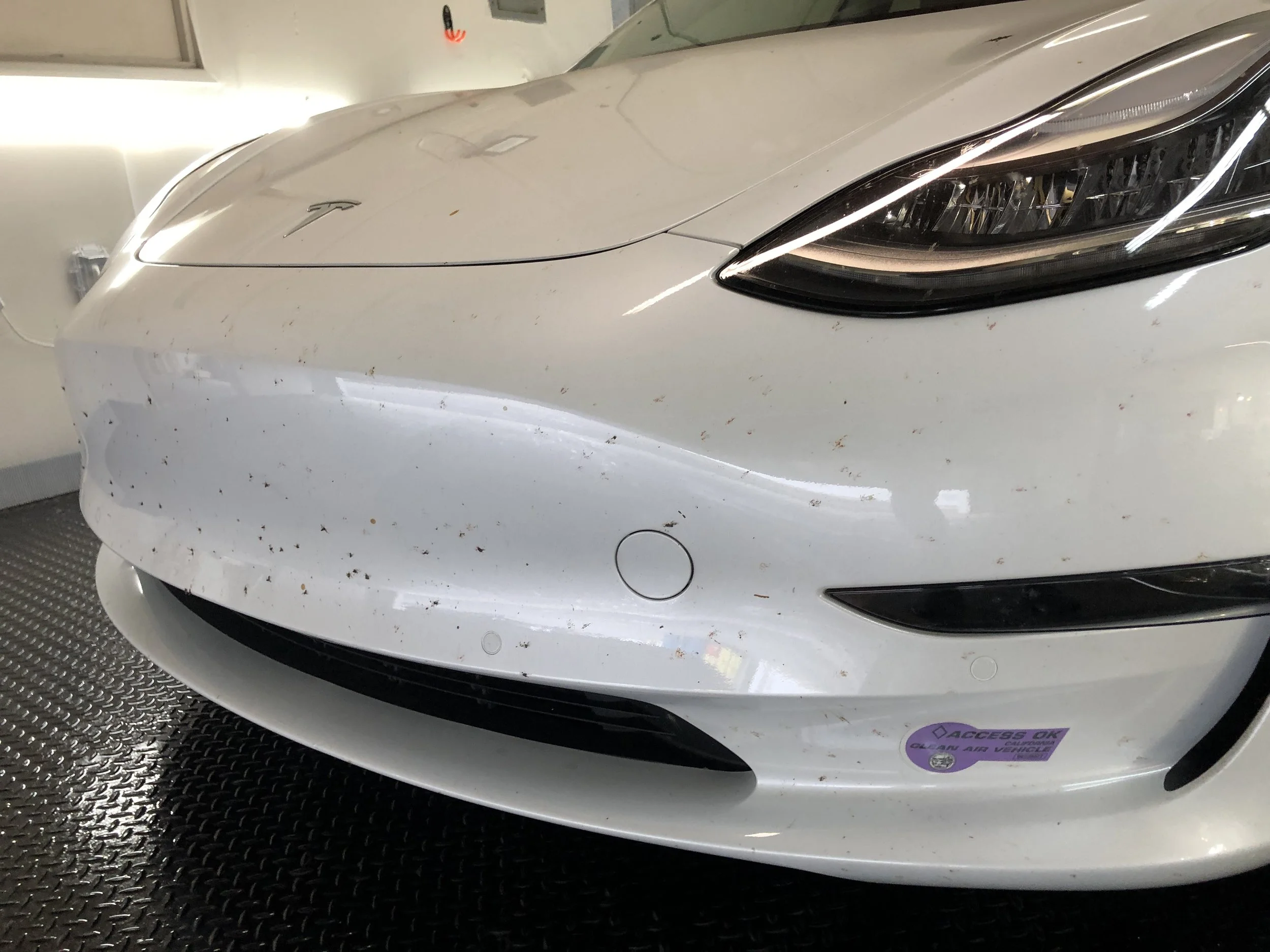 2019-08-20 09.22.04.jpg