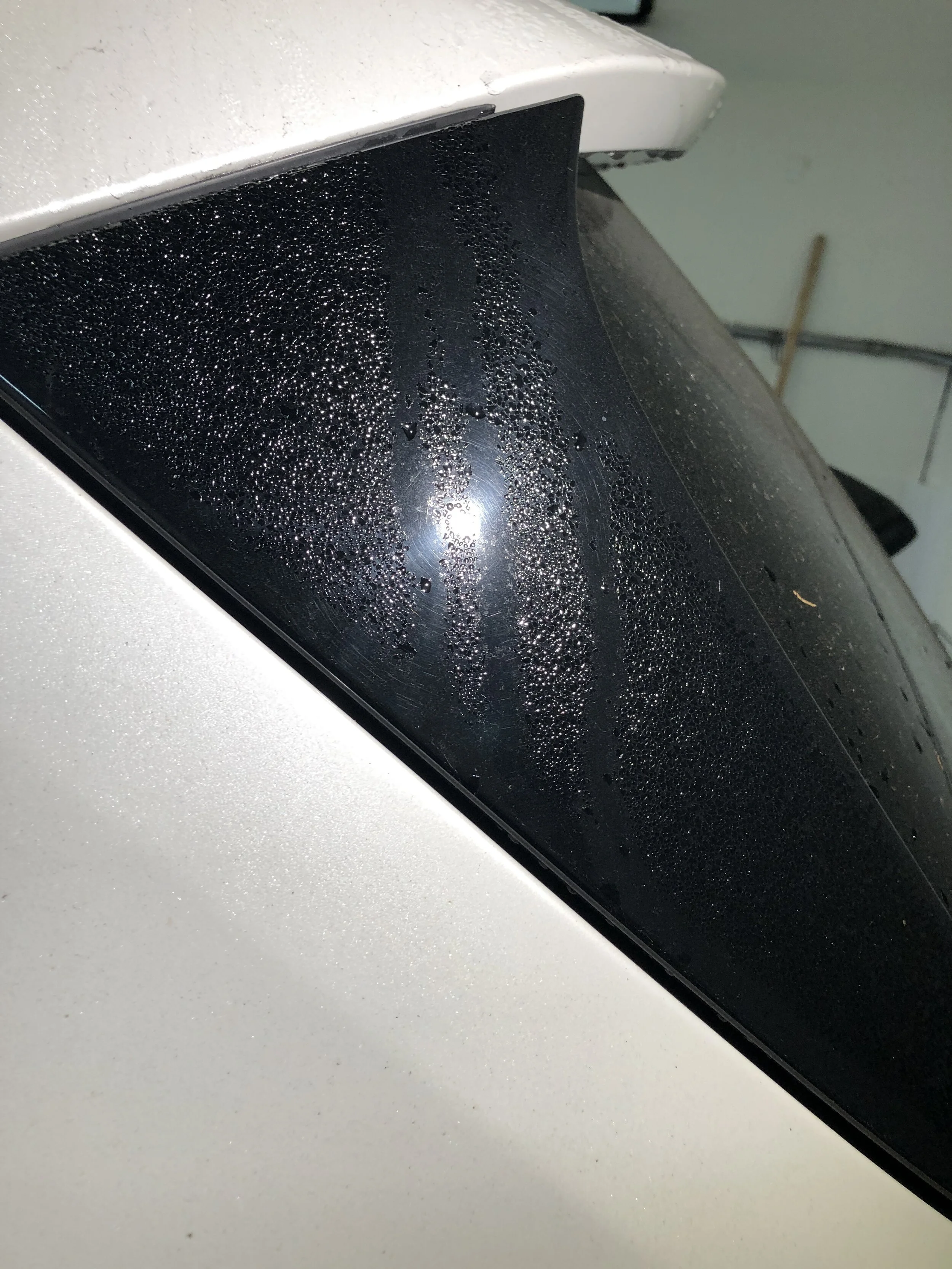 2019-09-09 09.29.30.jpg