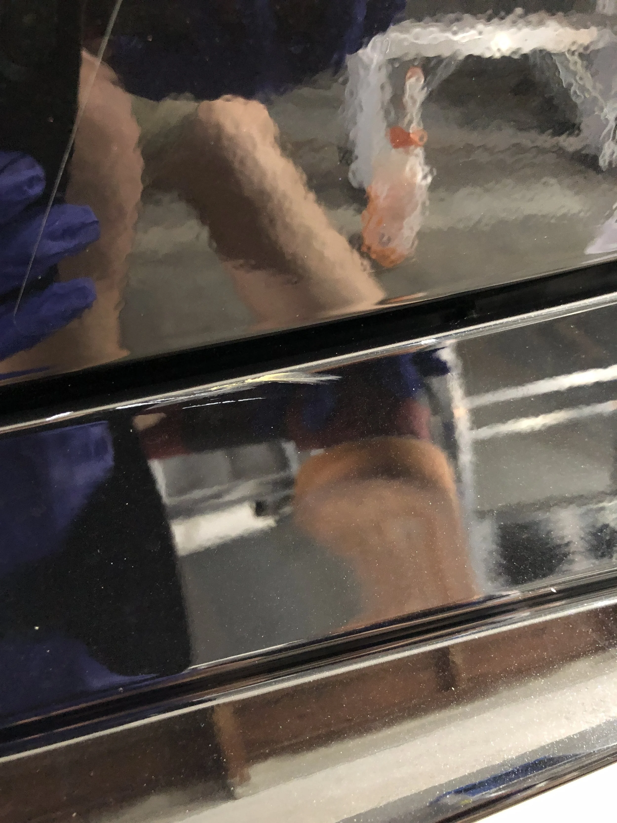 2019-09-25 16.04.23.jpg