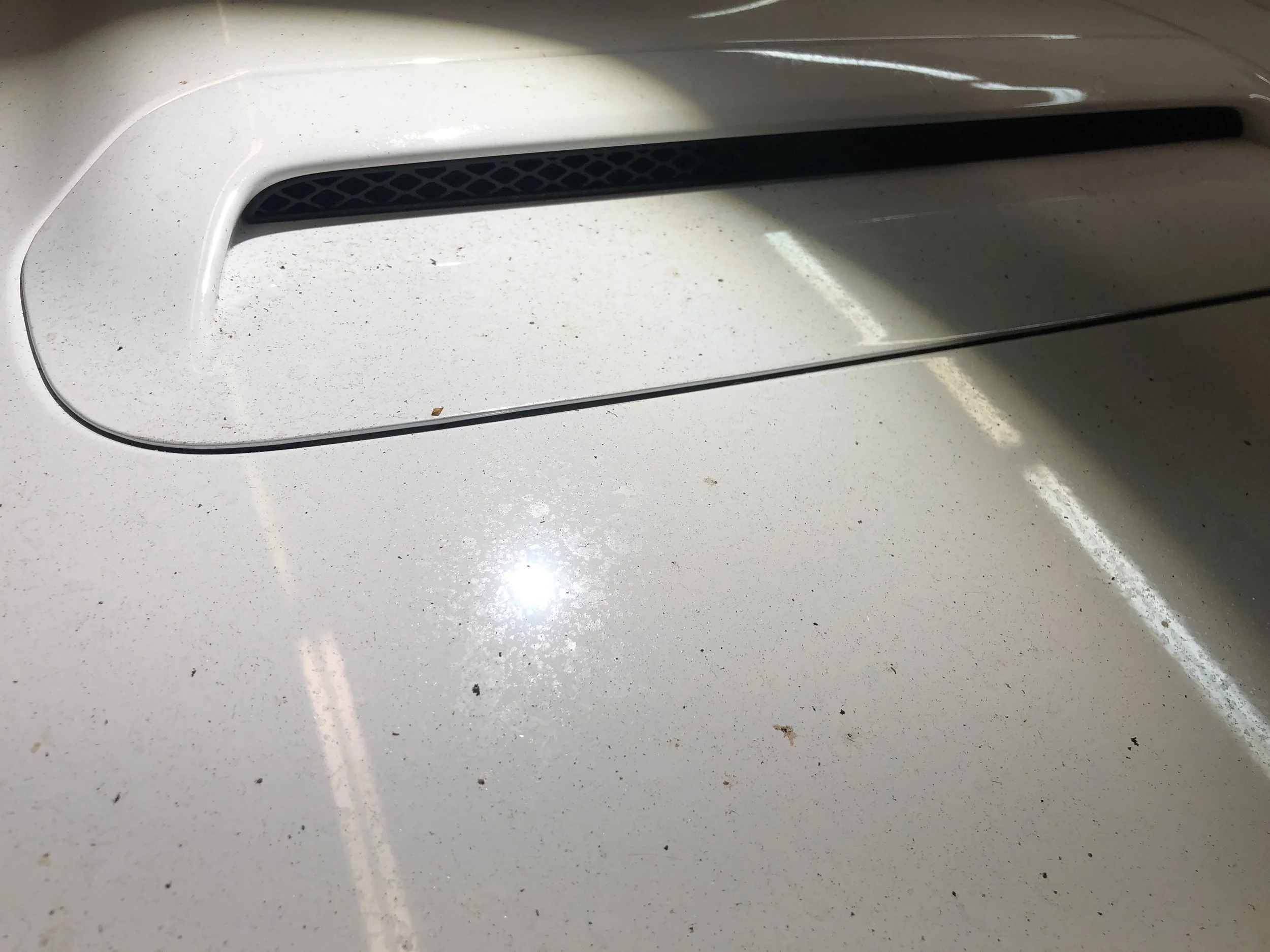 2019-10-01 07.58.44.jpg