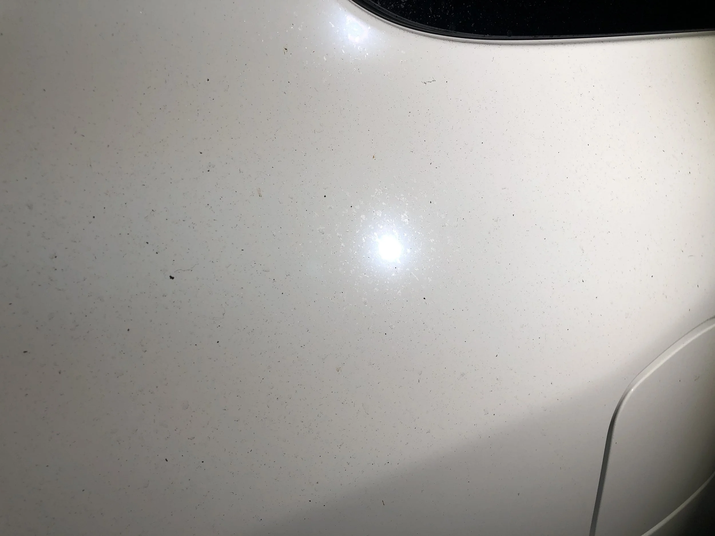 2019-10-01 07.59.03.jpg