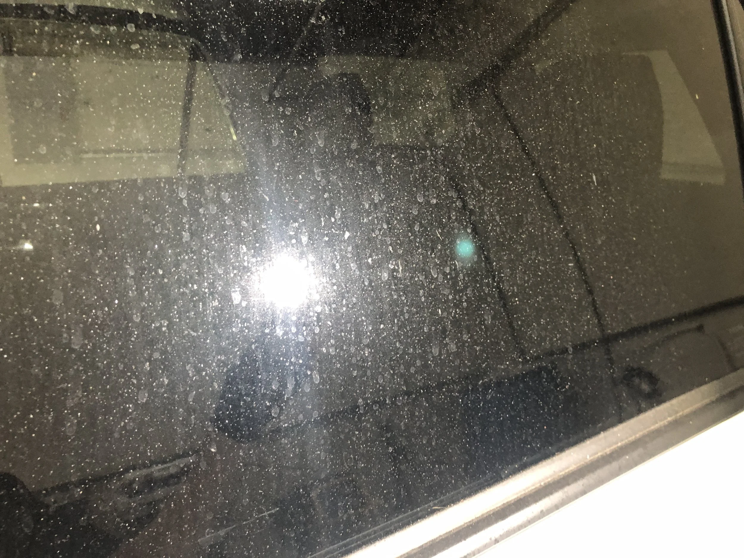 2019-10-01 07.58.59.jpg