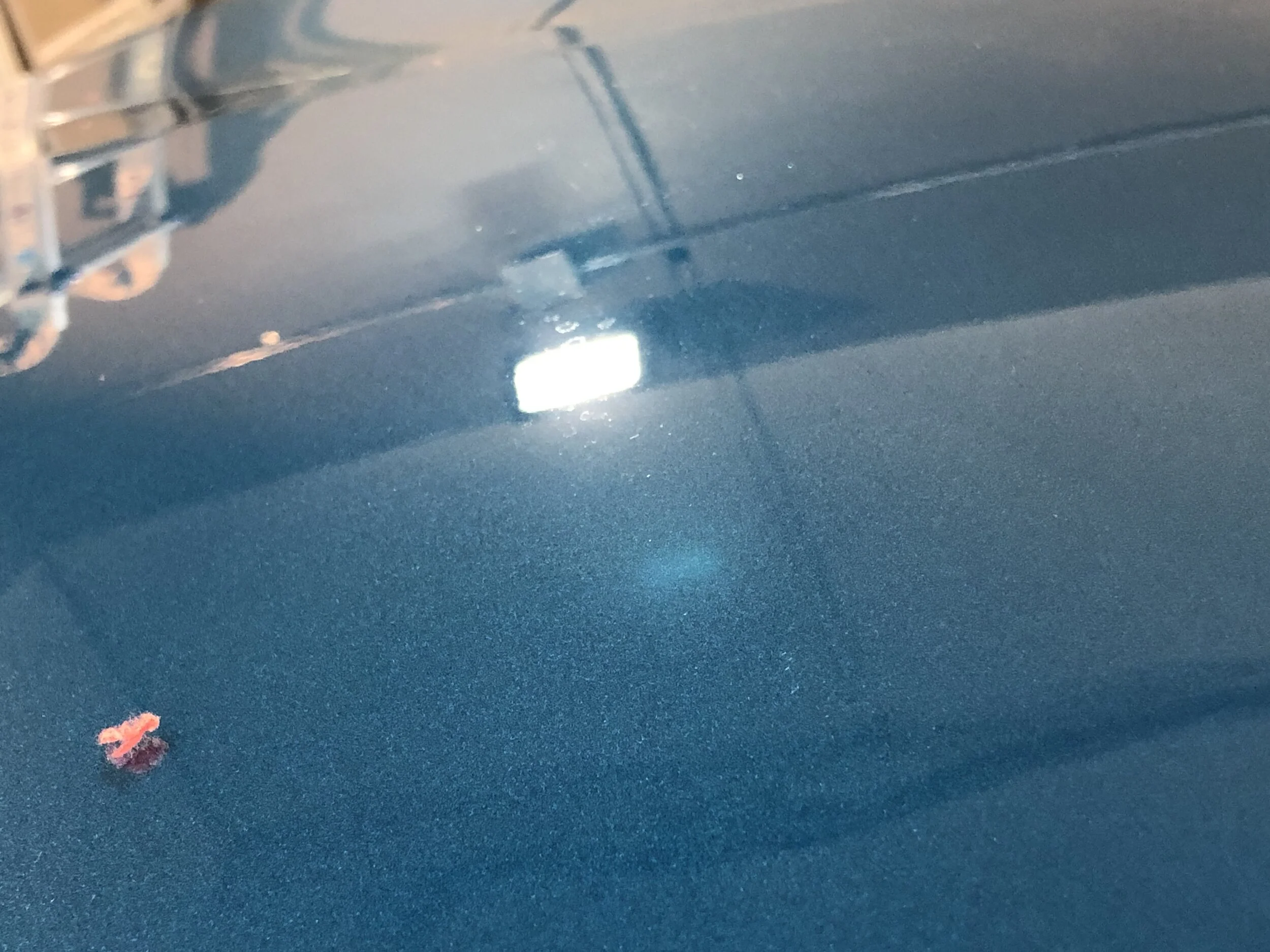 2019-10-03 12.55.05.jpg