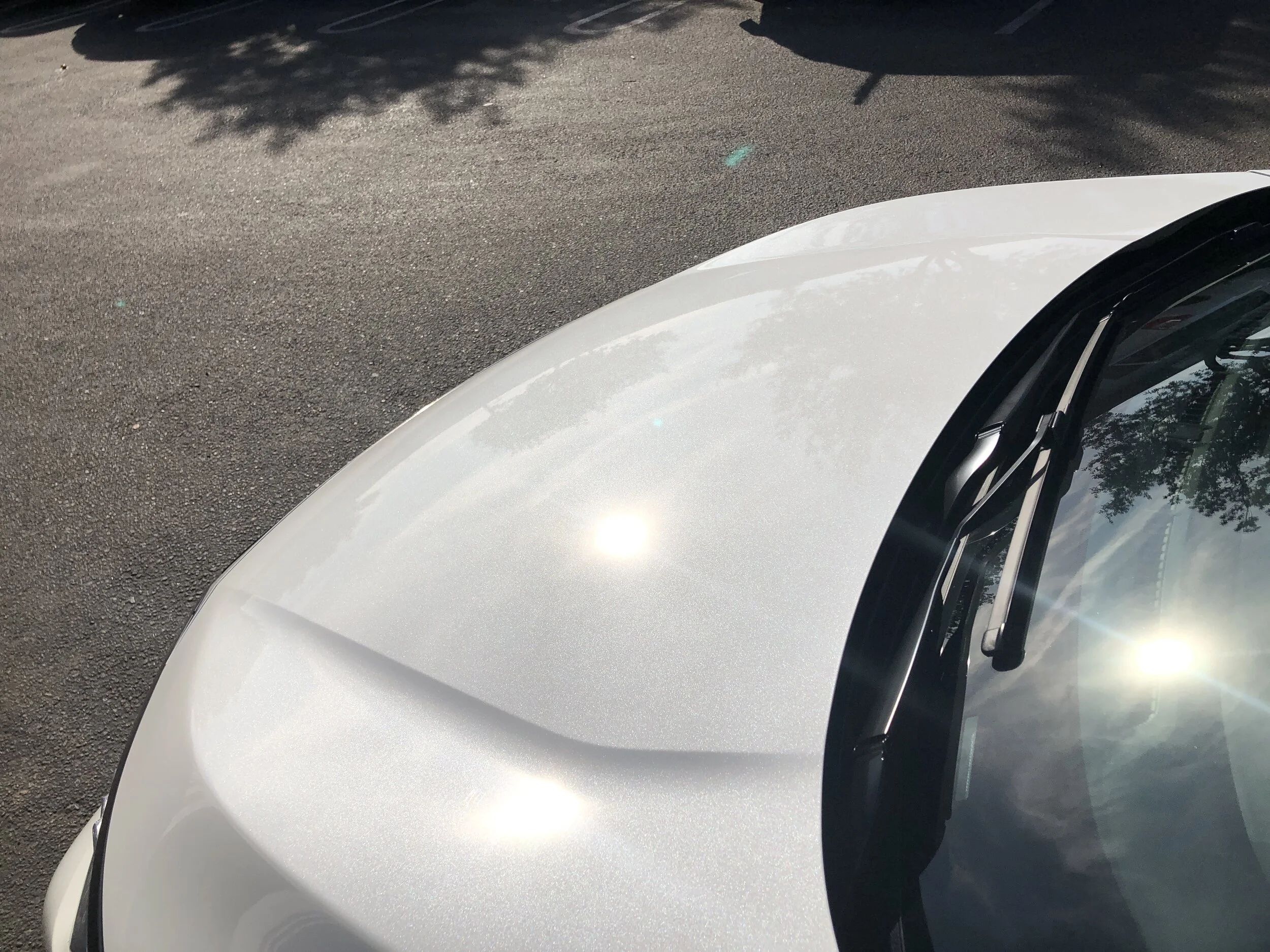 2019-10-10 16.10.45.jpg