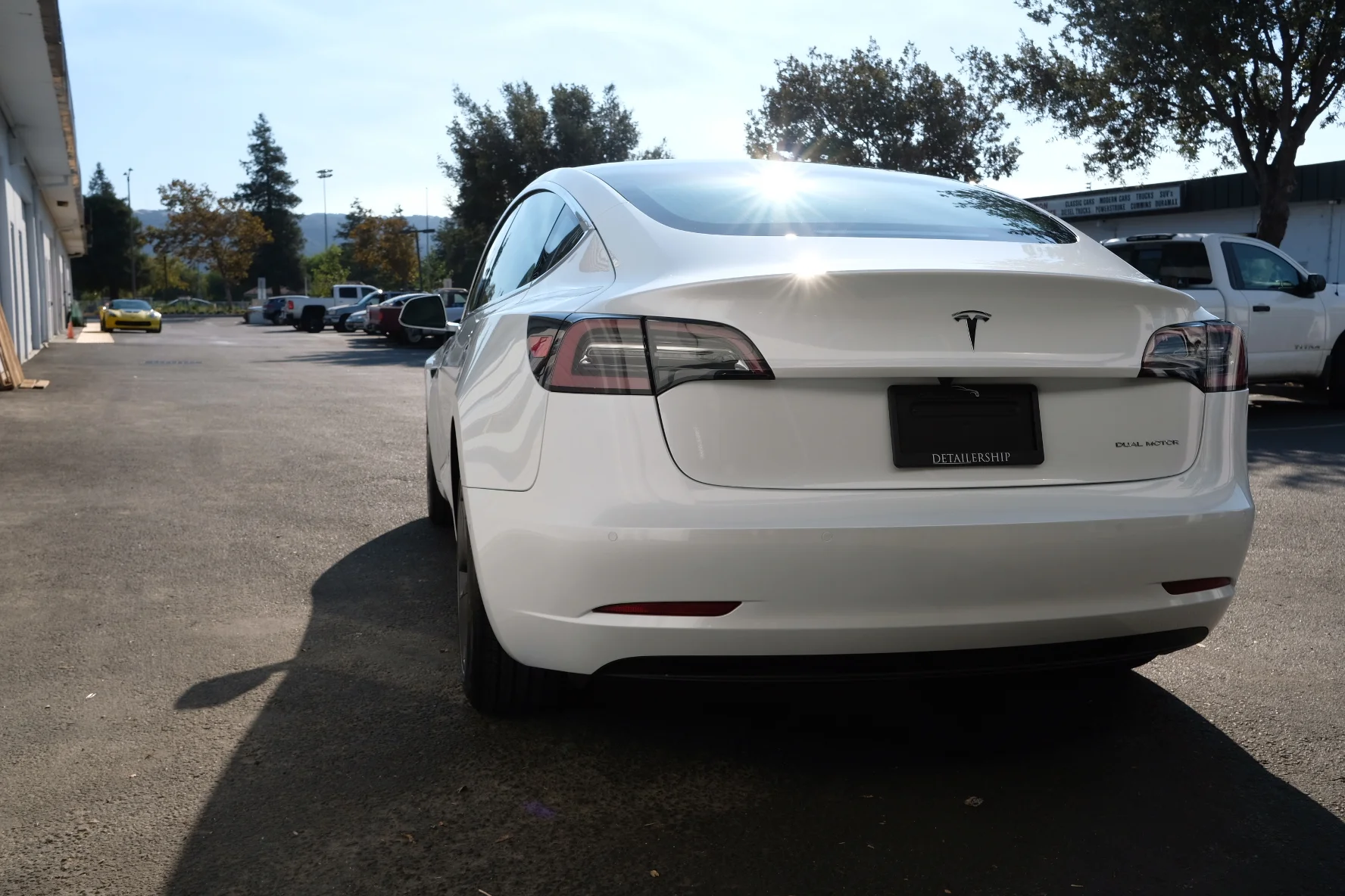 2019 Tesla Model 3 (Multicoat White)