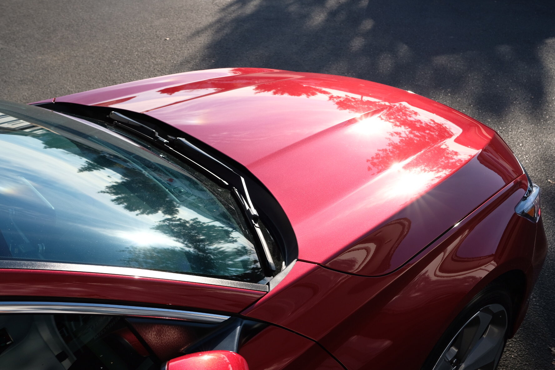 2019 Honda Accord (Radiant Red Metallic)