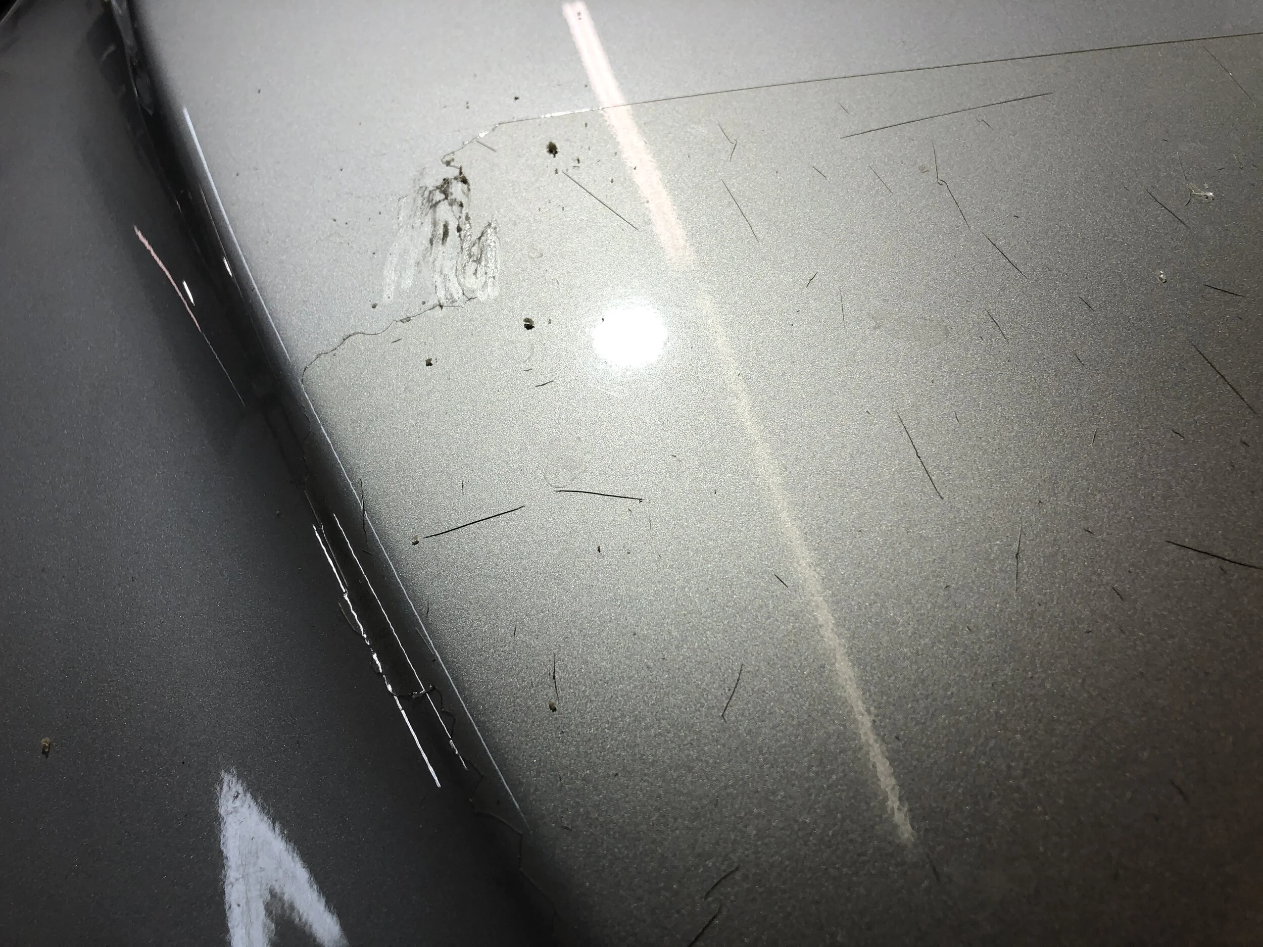 2020-04-01 10.56.27.jpg