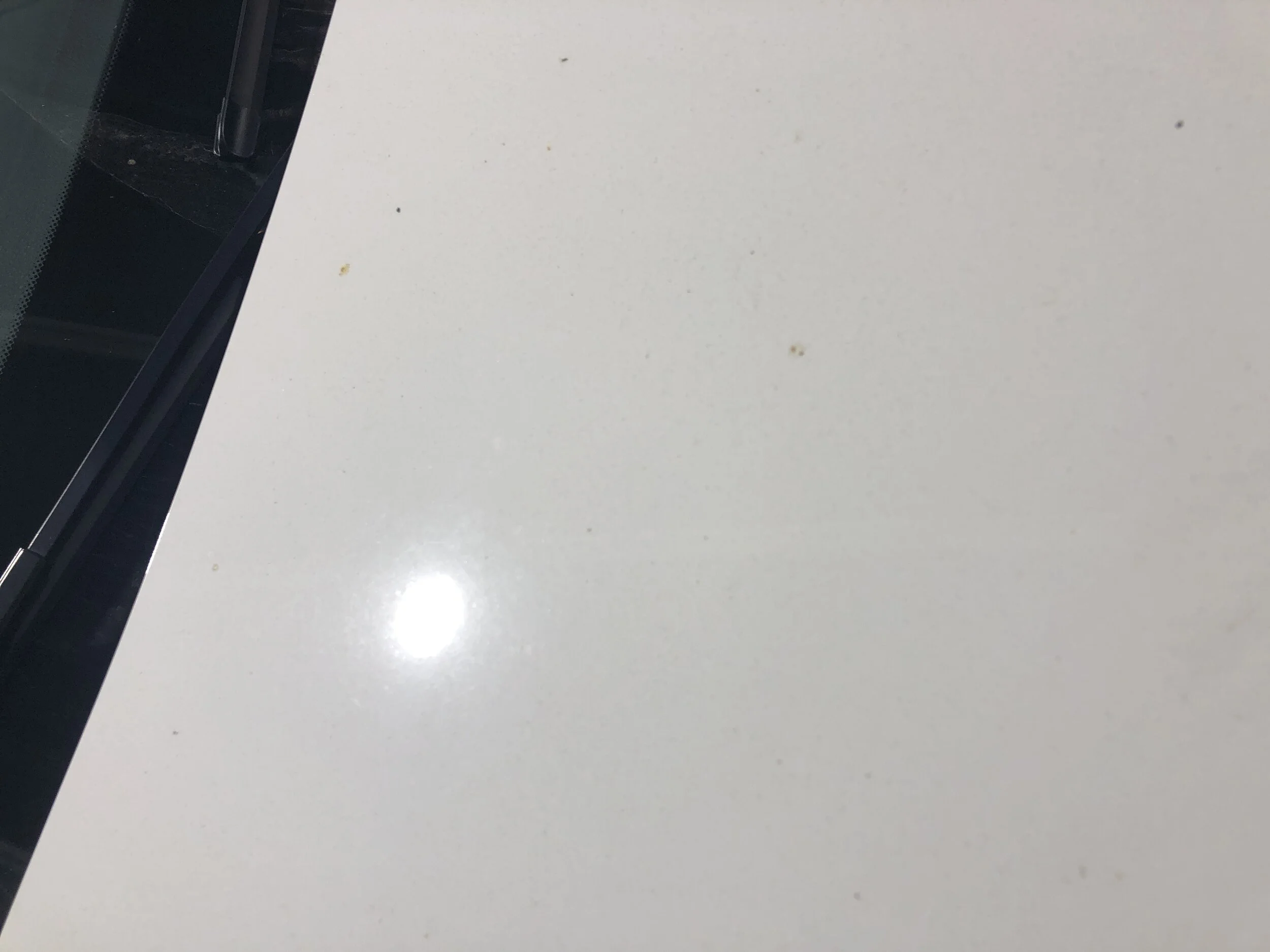 2020-05-27 08.15.47.jpg