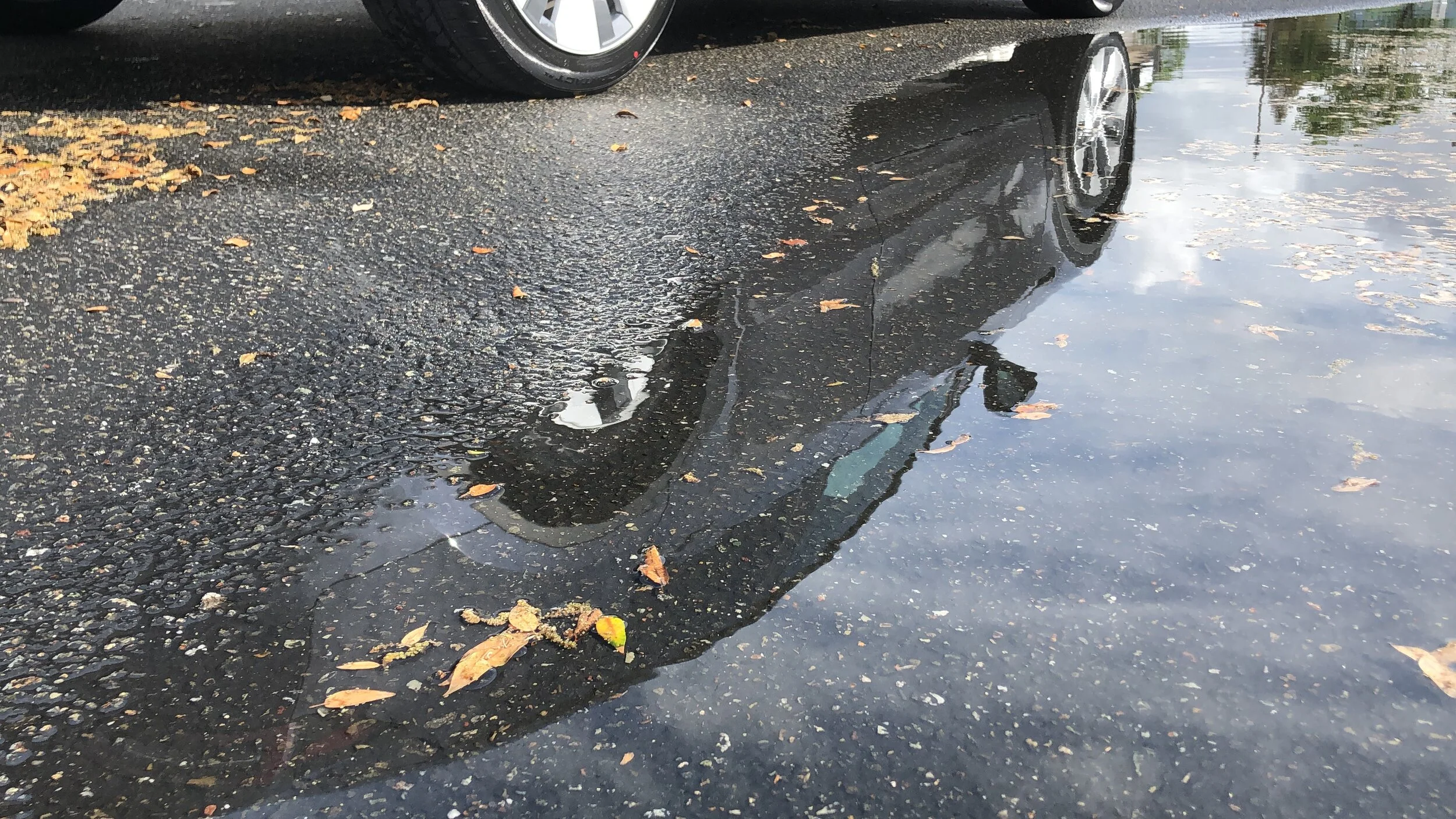 2020-05-30 17.18.49.jpg