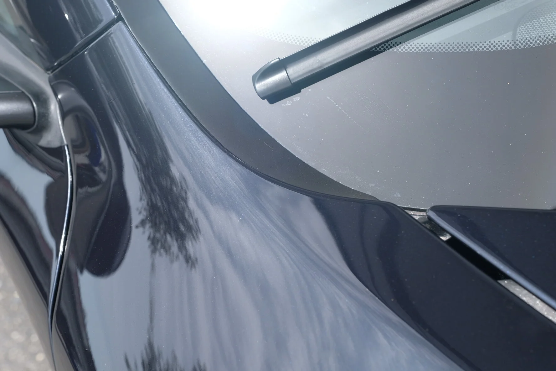 2020-06-15 14.12.57.jpg