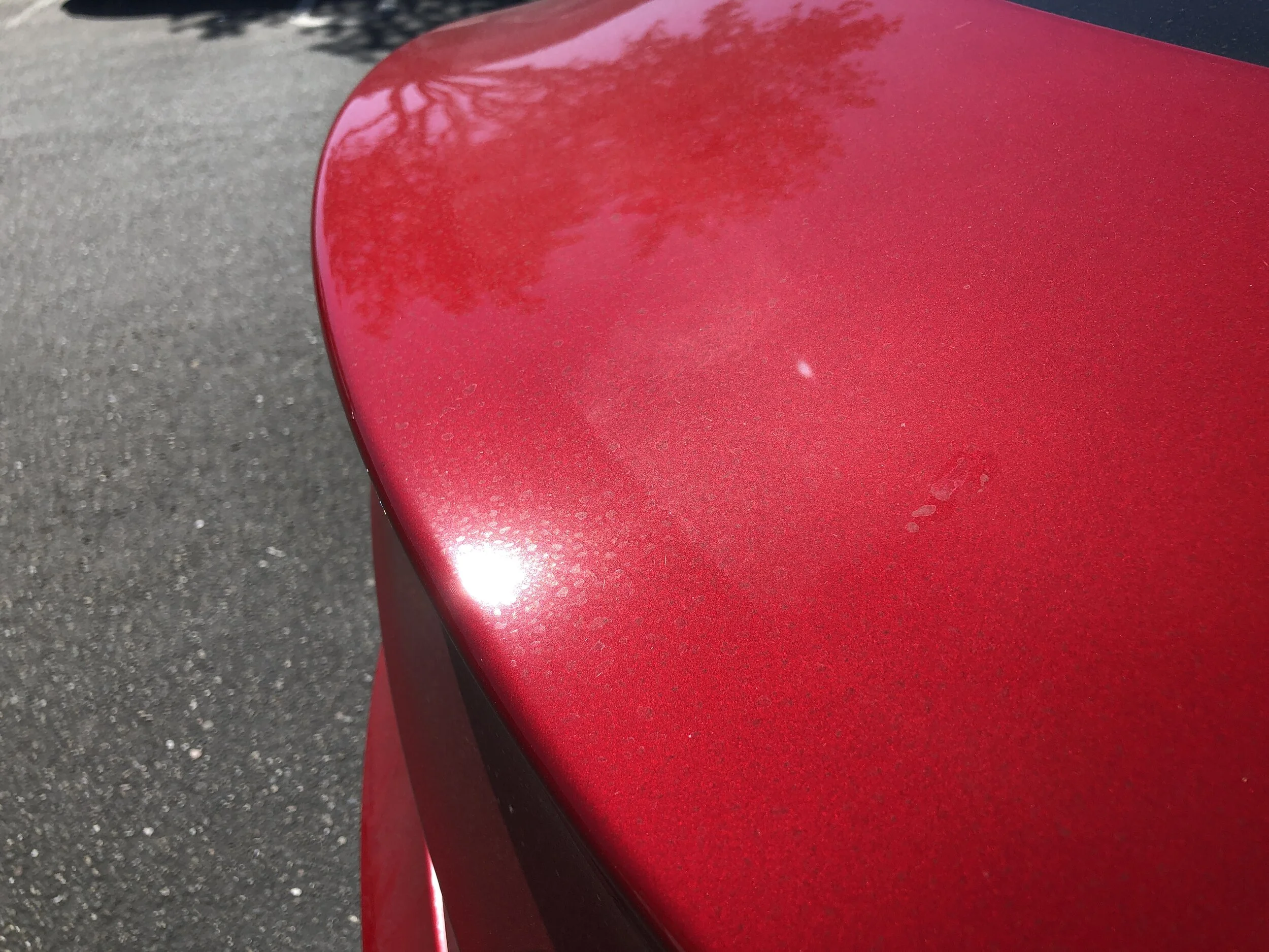 2020-06-23 16.11.59.jpg