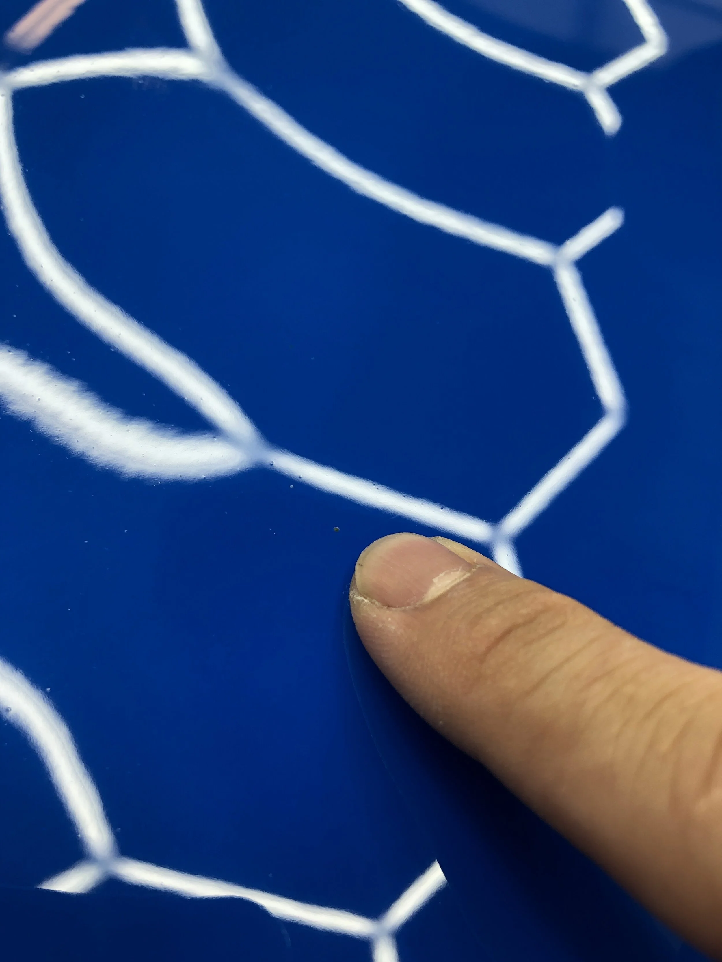 2020-08-02 19.26.49.jpg