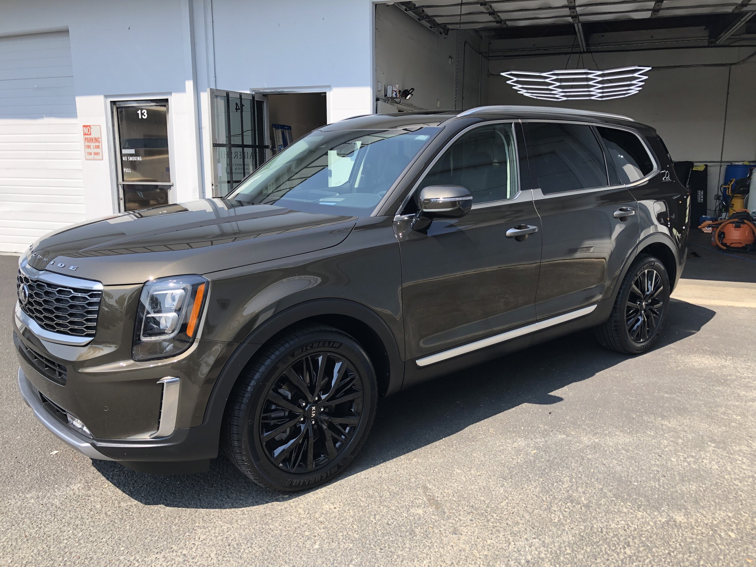 2020 Kia Telluride (Dark Moss)