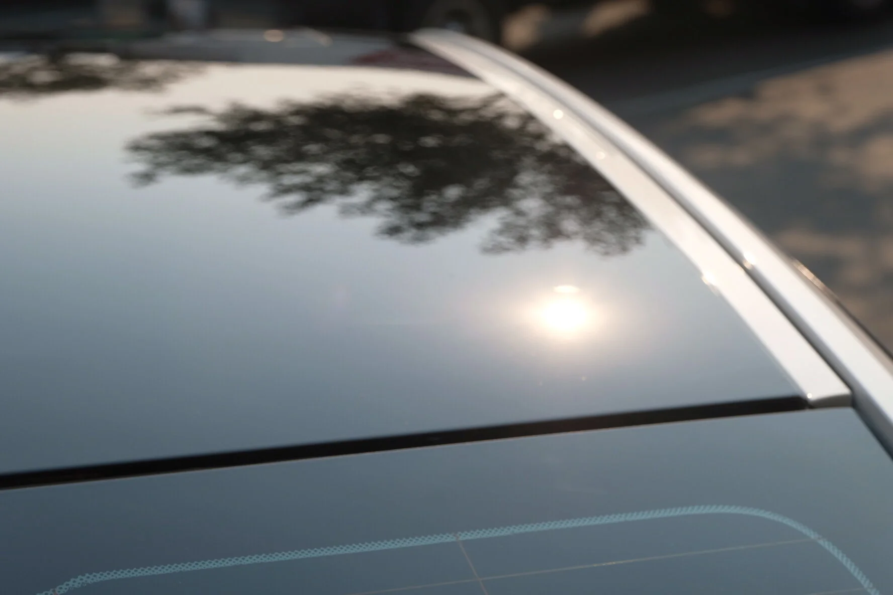 2020-09-01 17.17.49.jpg