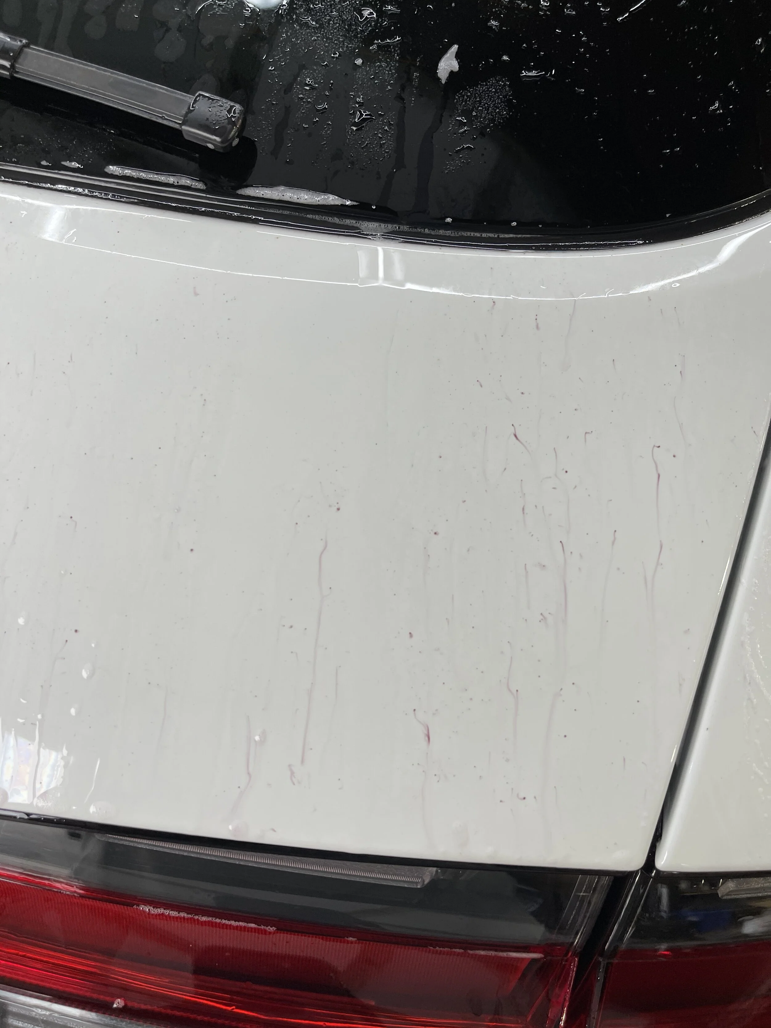 2021-02-08 15.46.06.jpg