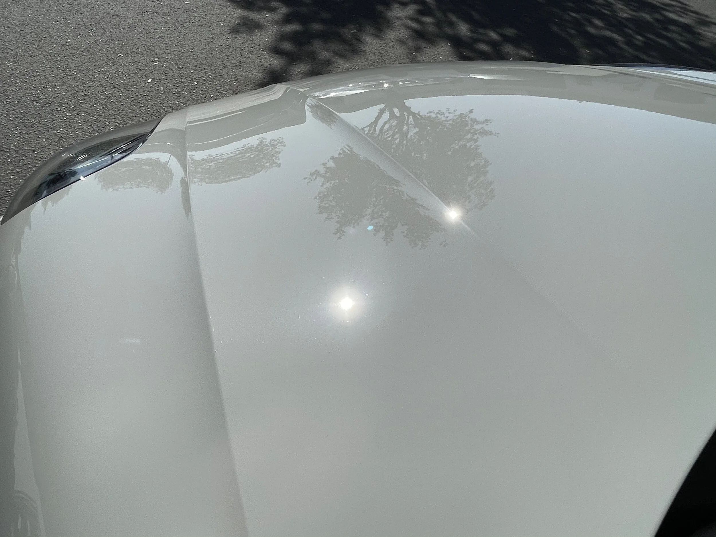 2021-04-02 16.02.13.jpg