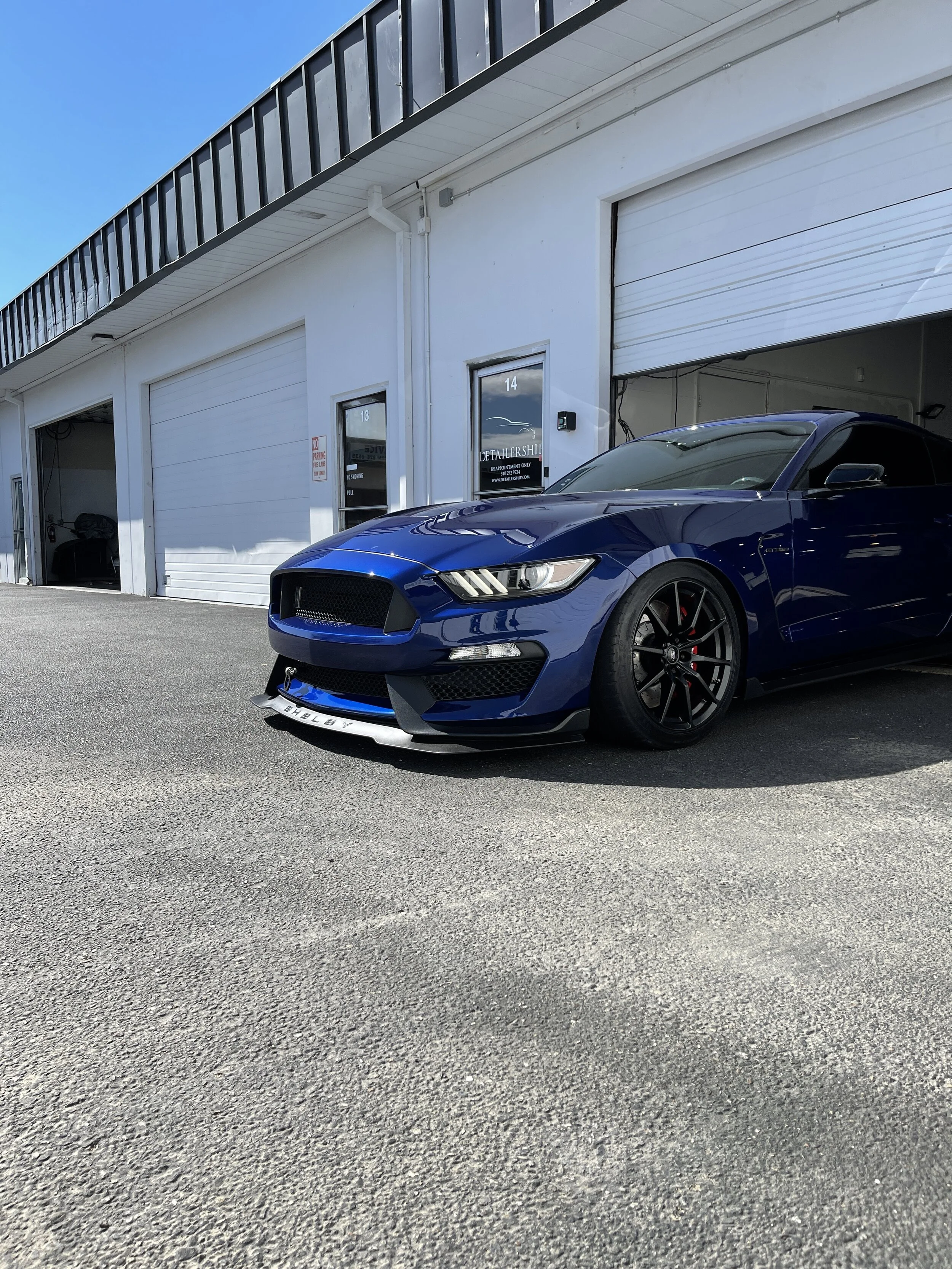 2016 Ford Mustang GT350 (Deep Impact Blue)